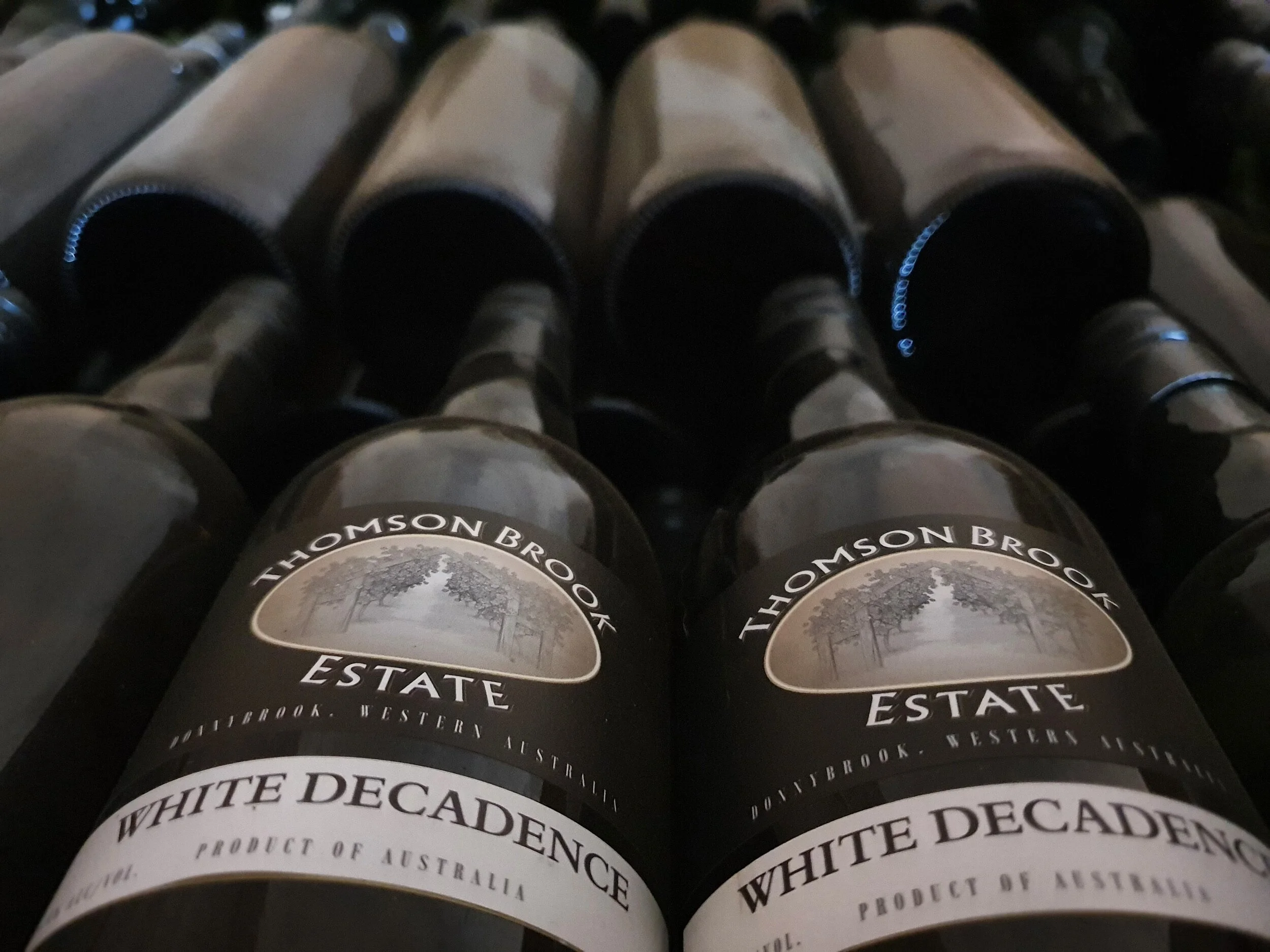 20201031_083108 (1).jpg