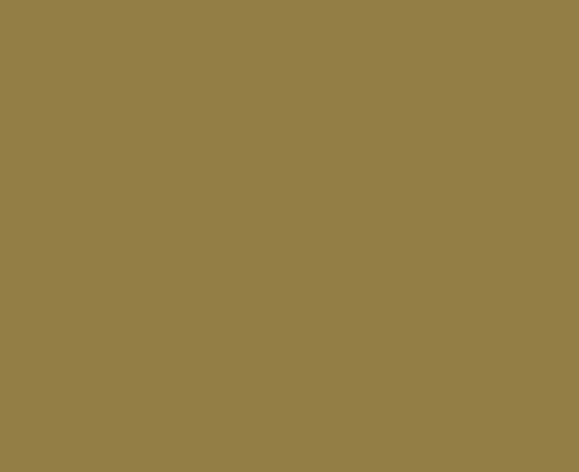 Lead+Magnet+Wide+Image+(2).png