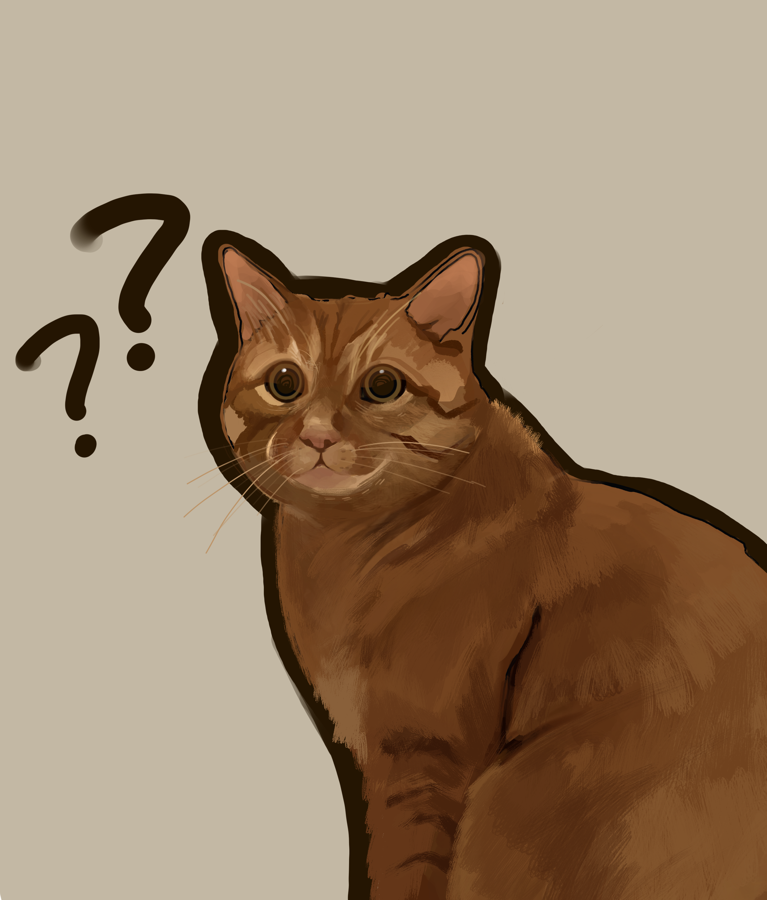 IMG_2487.png