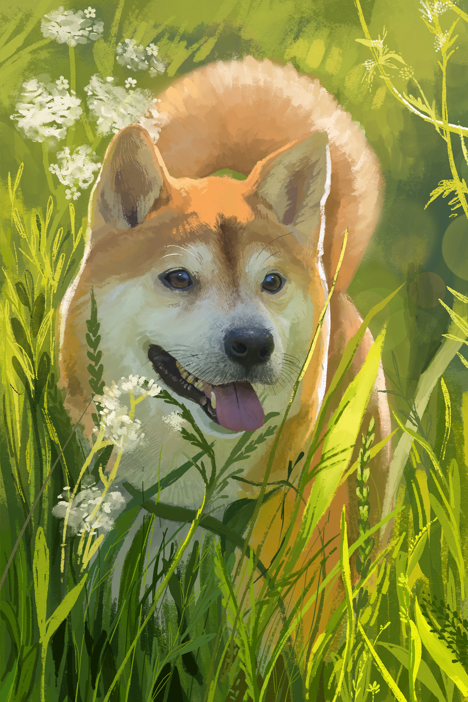 doggo.png