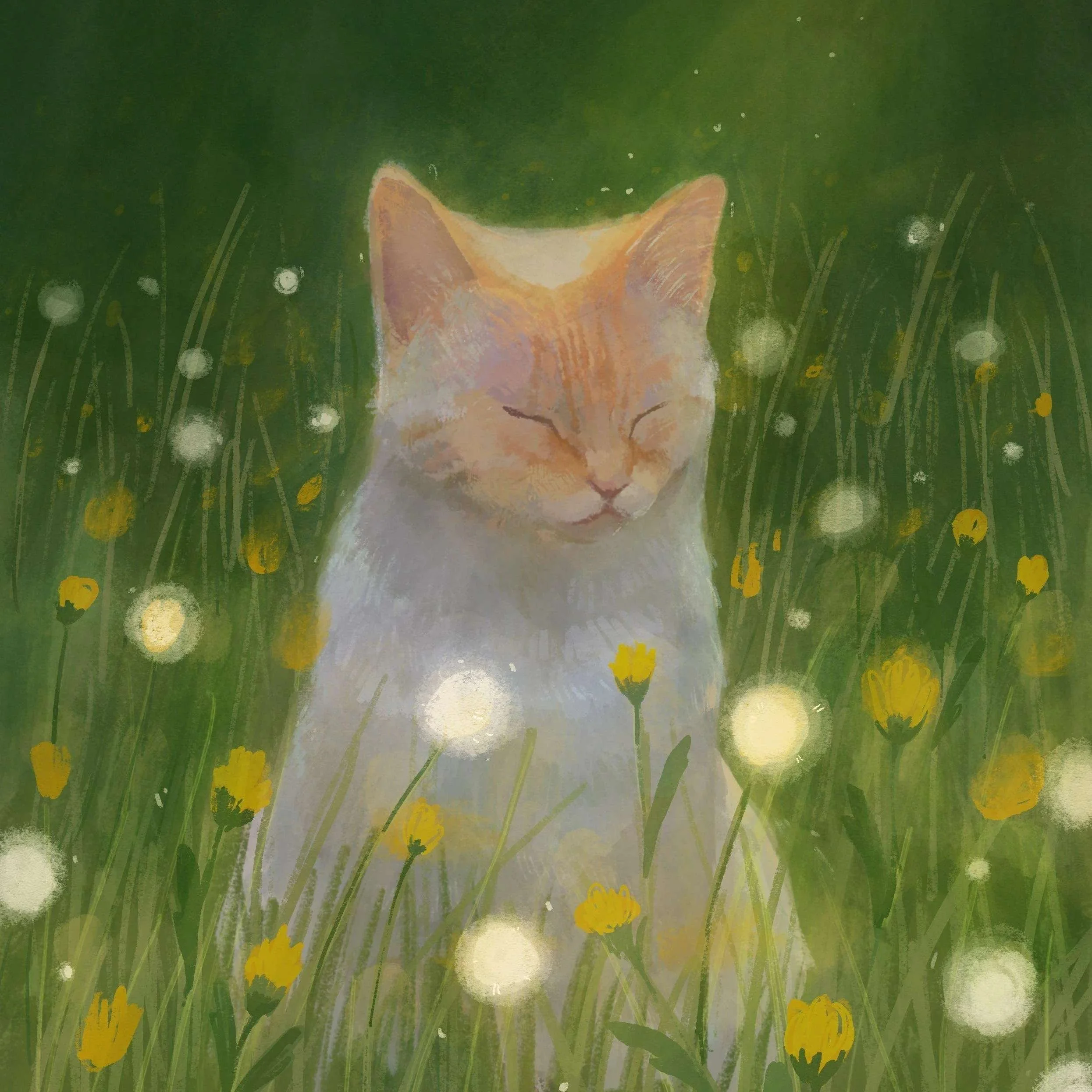 catto.jpg