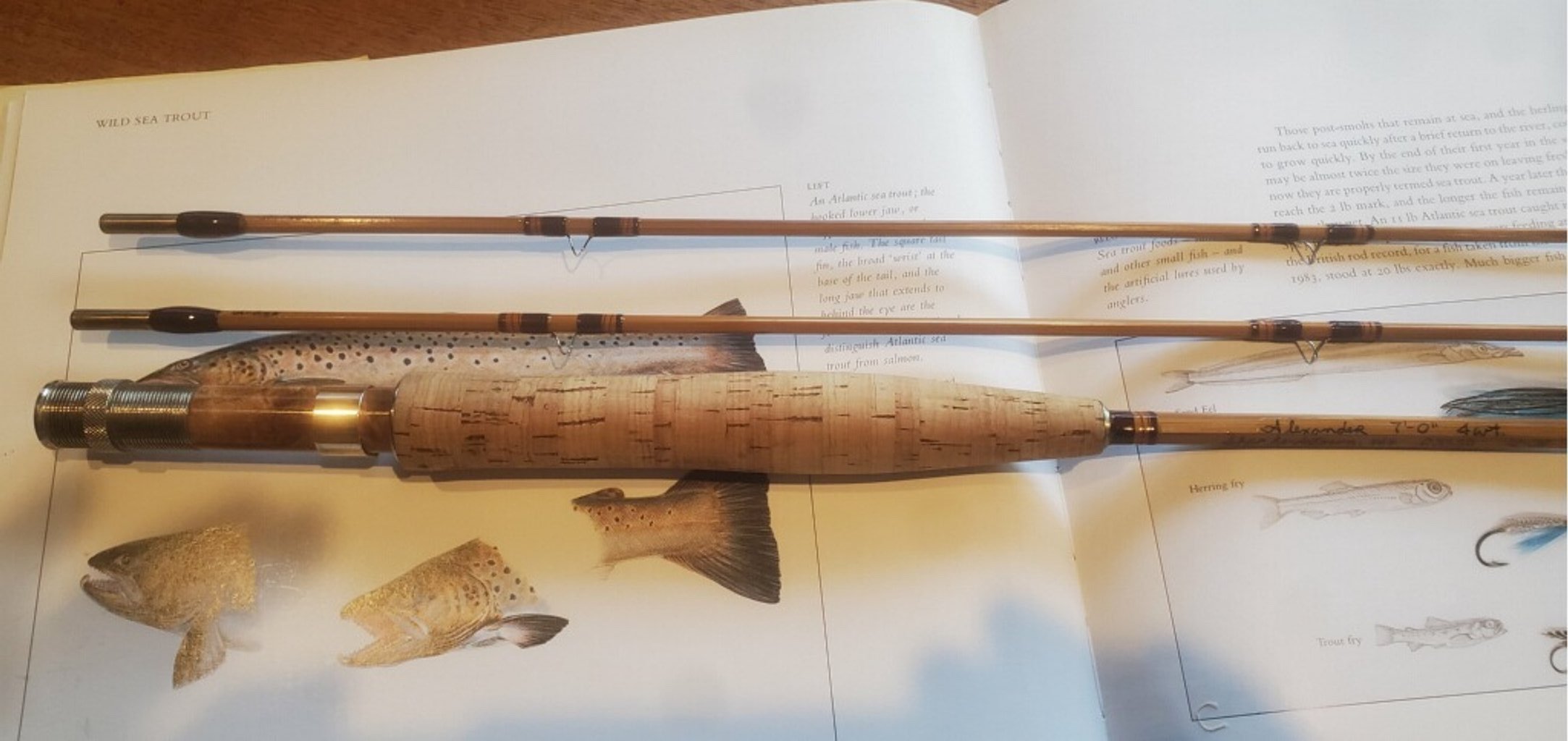 Used Bamboo Fly Rod - 4 For Sale on 1stDibs