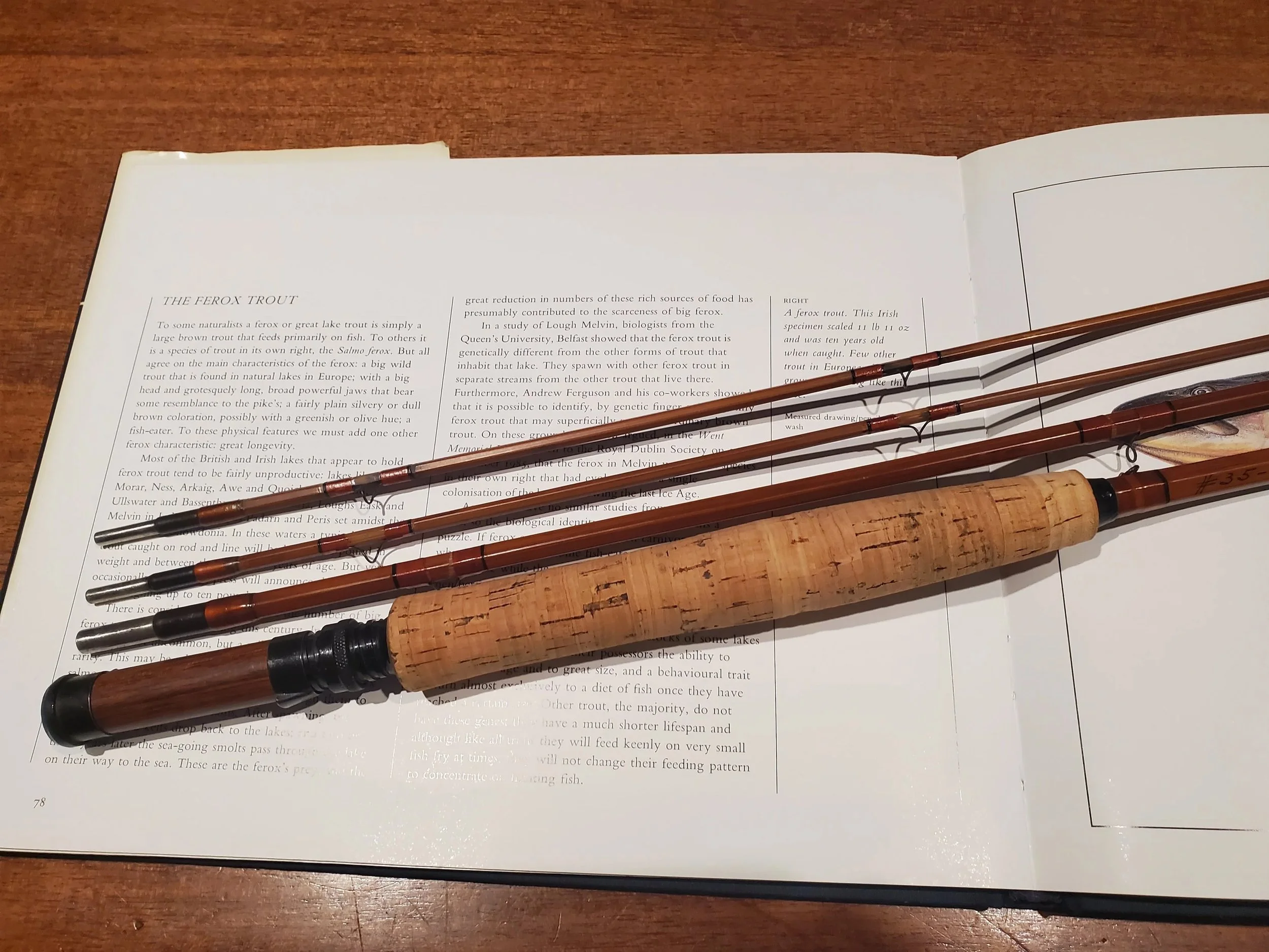 Heddon #35, 9ft. 3/2, 2 1/2 F Ferrule HCH or D, #6/7 Line