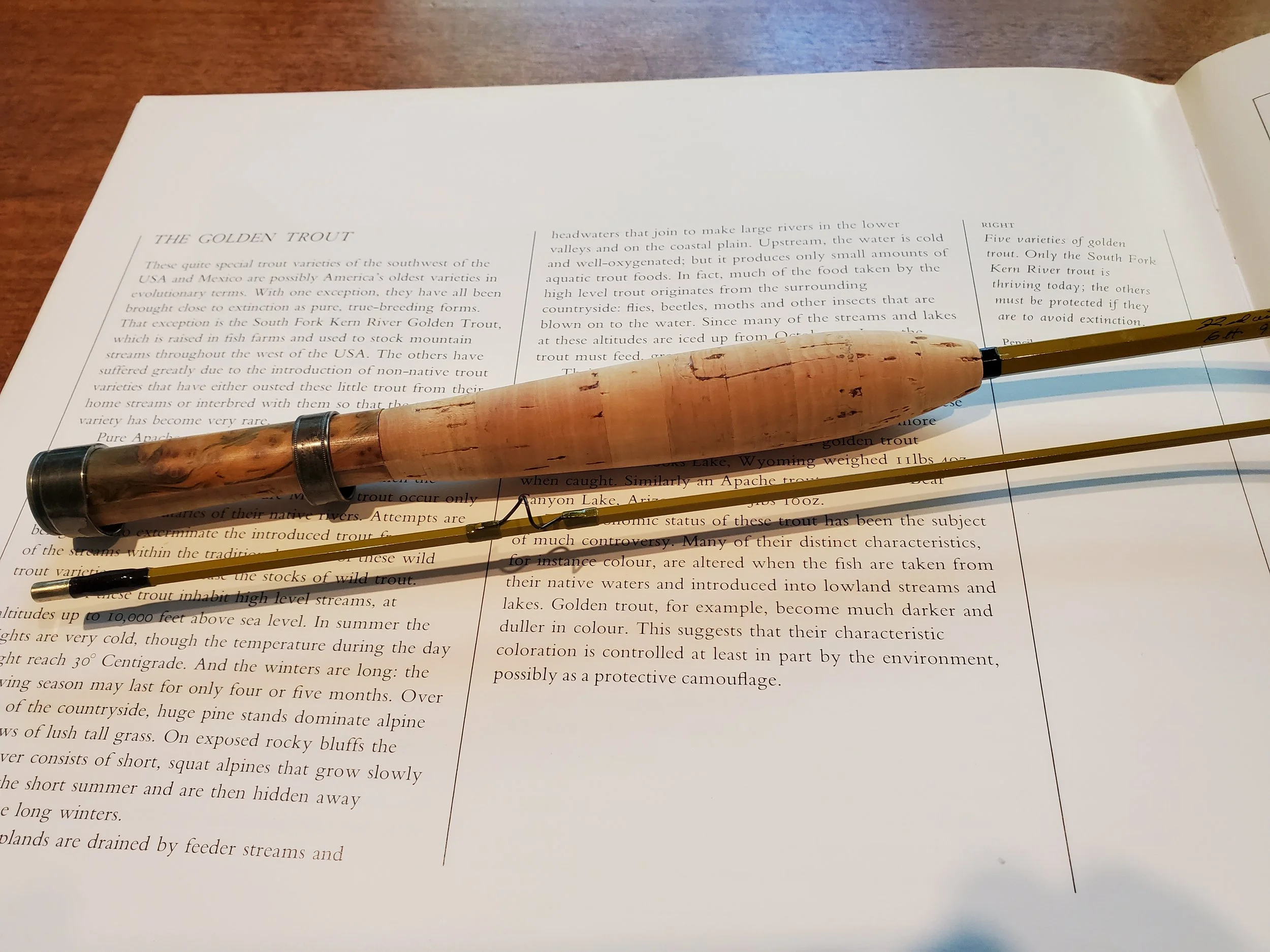 Redwing/J. Balestrieri, 6ft. 9in. #2/3 Line; Unique 6-Sided Graphite Rod Material, 2/1