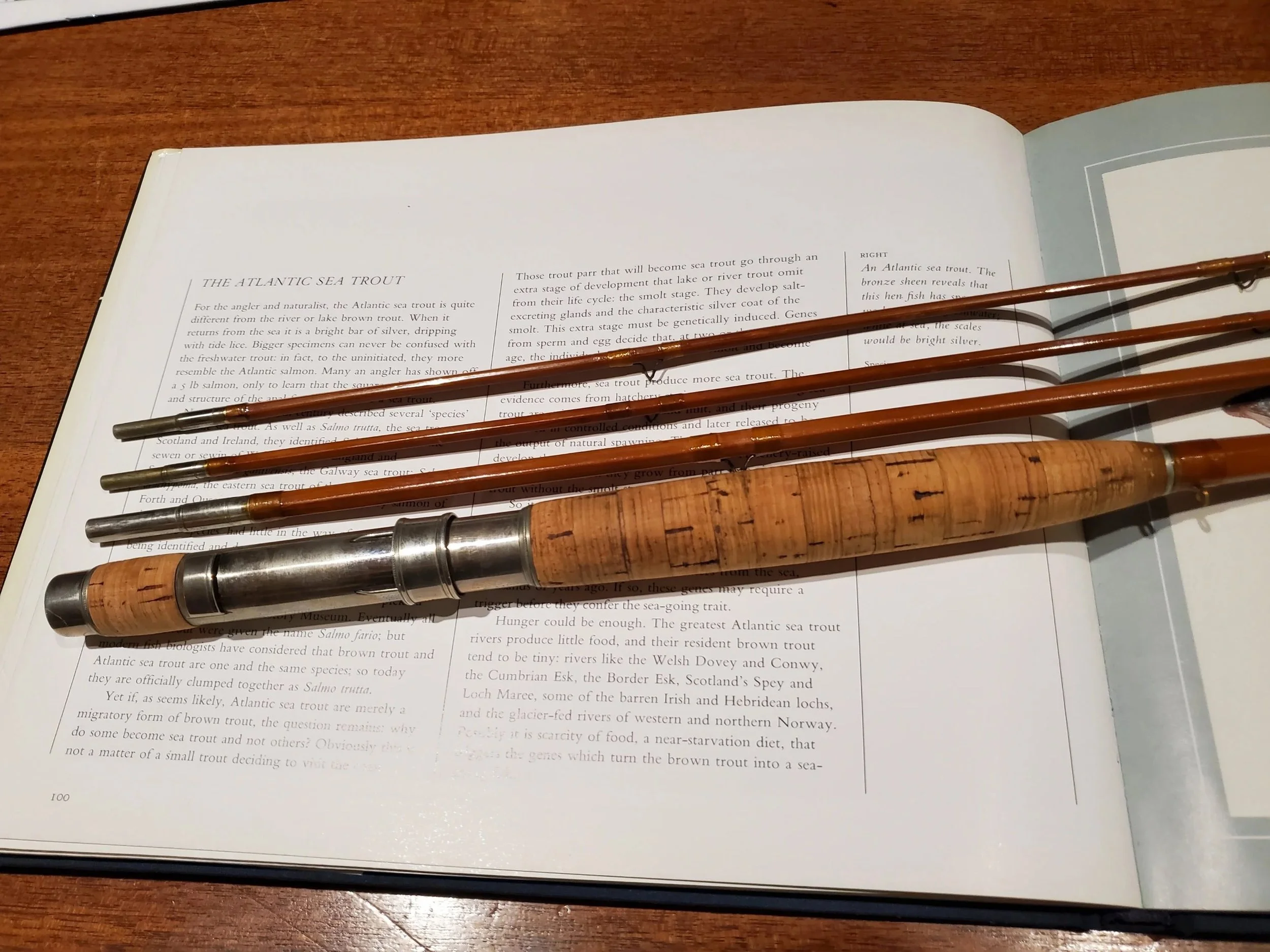 H.L. Leonard Makers, 10ft 3/2, Tournament Model "H. L. Leonard Rod" Circa 1915-1920