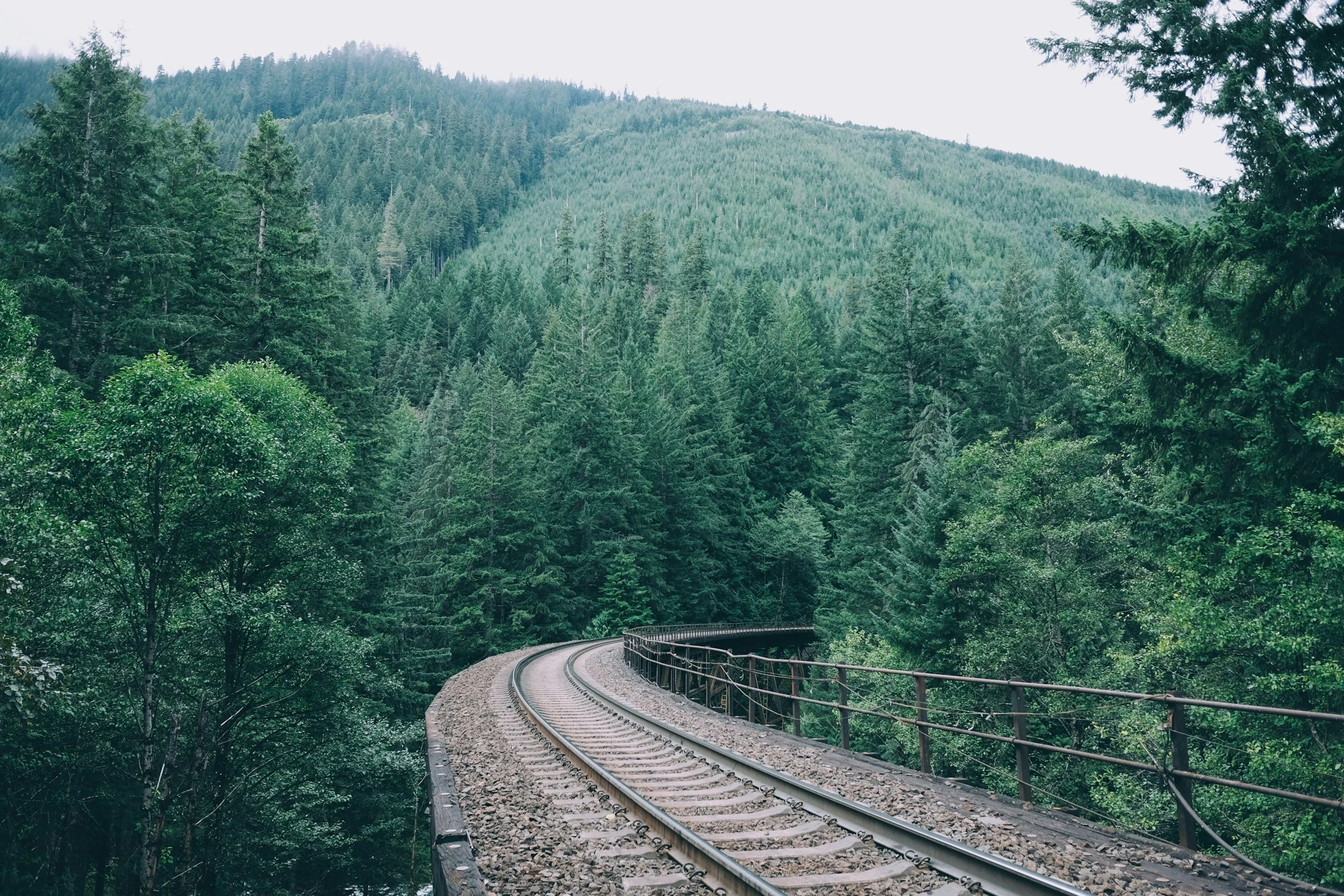 A train track curving through a dense forest of tall green pines on a mountainside — symbolizing guided organizational change through Motivational Interviewing and Trauma-Informed Care, helping teams navigate transitions with direction and trust