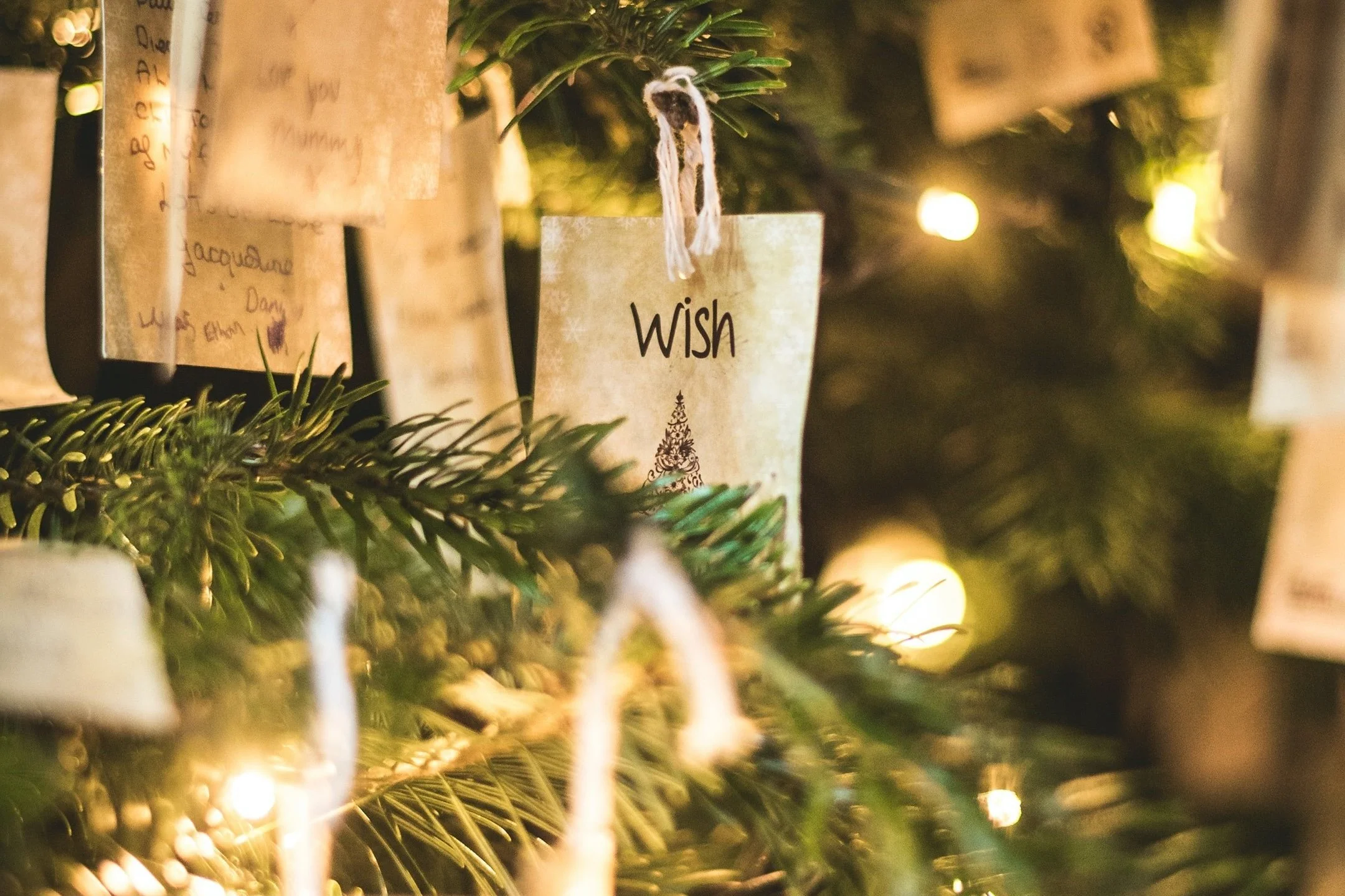 青少年在团契中的三个期望