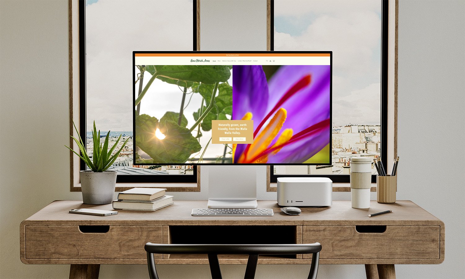 1 - Portfolio Header Mac Studio Mockup.jpg