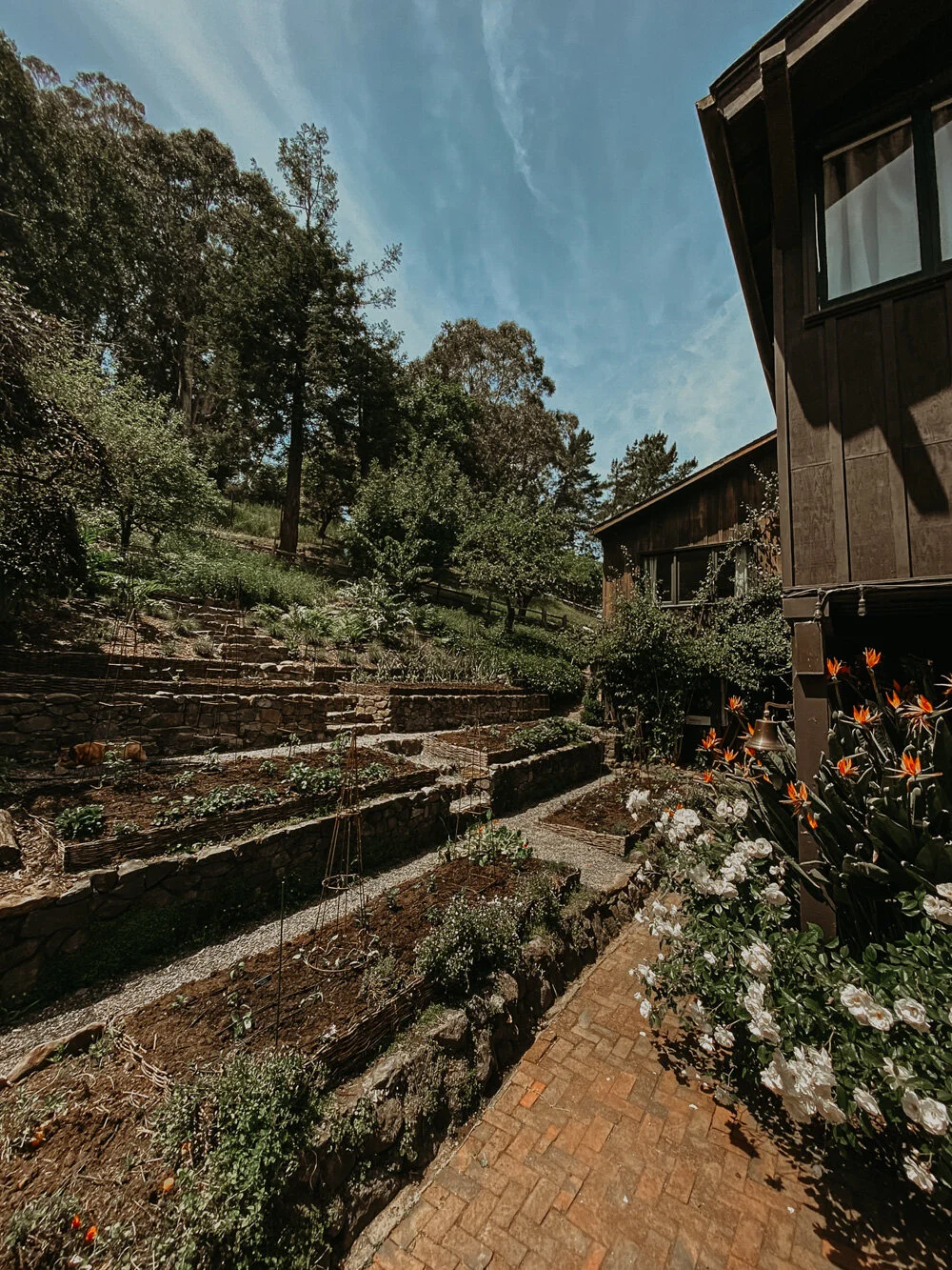 Chef Tyler Florence's kitchen garden 