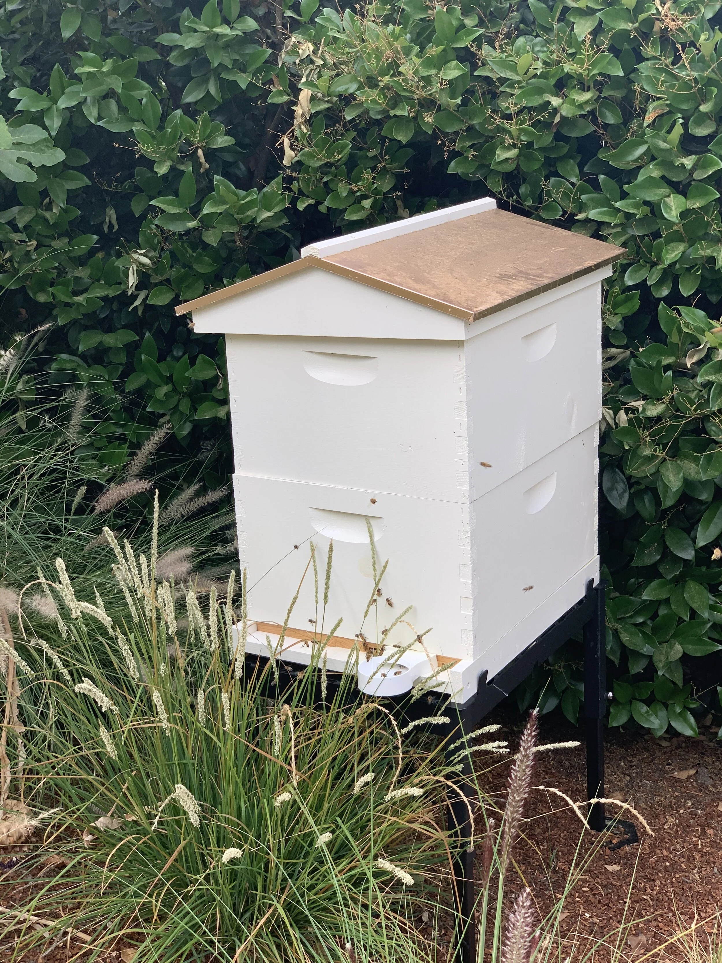 Cute white modern farmhouse bee hive