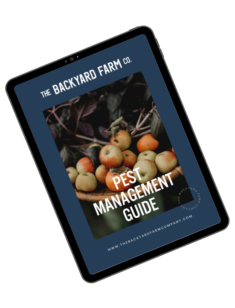 Copy of Untitled.png