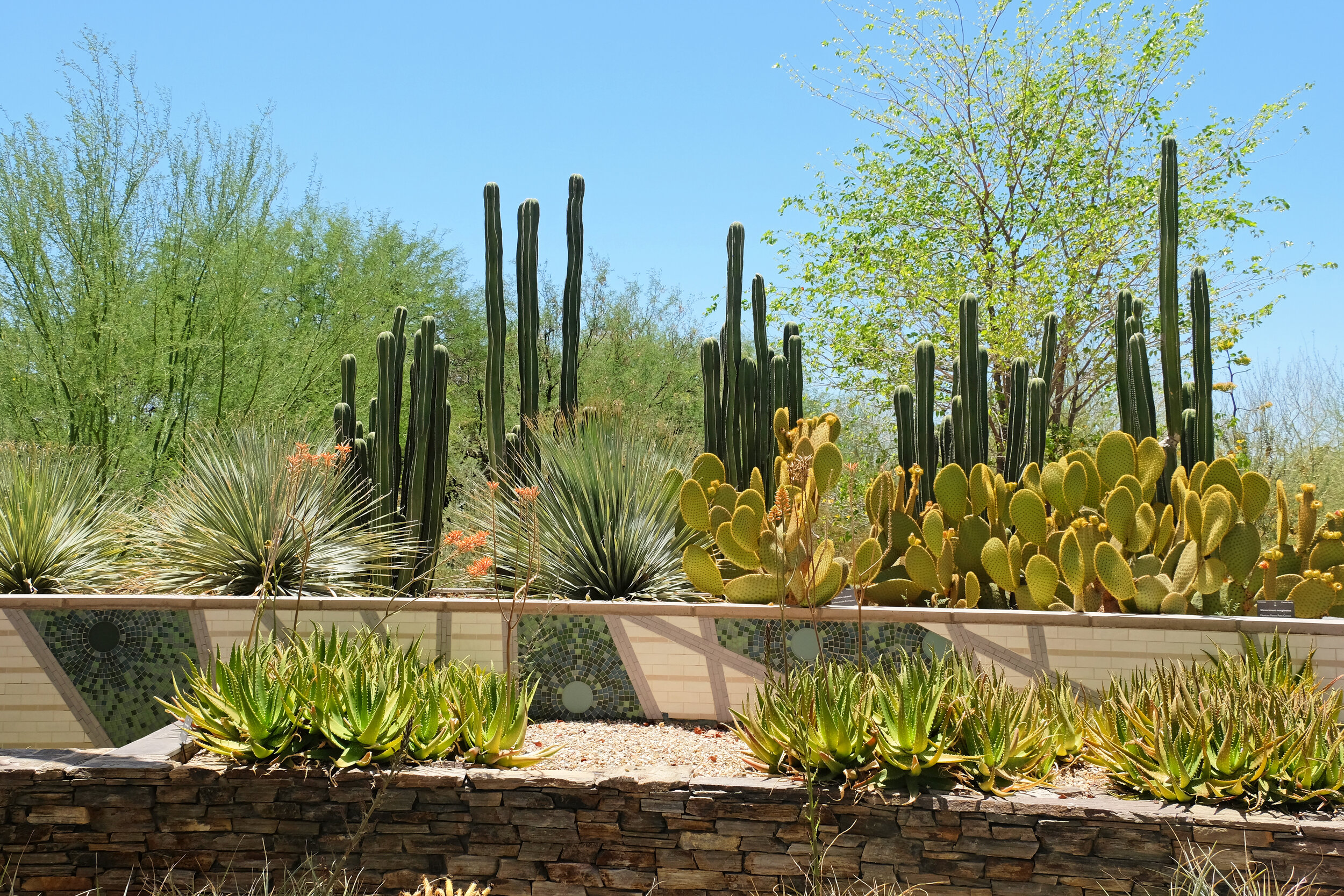 Things to do in Phoenix and Scottsdale, Arizona — Road Jess Travels