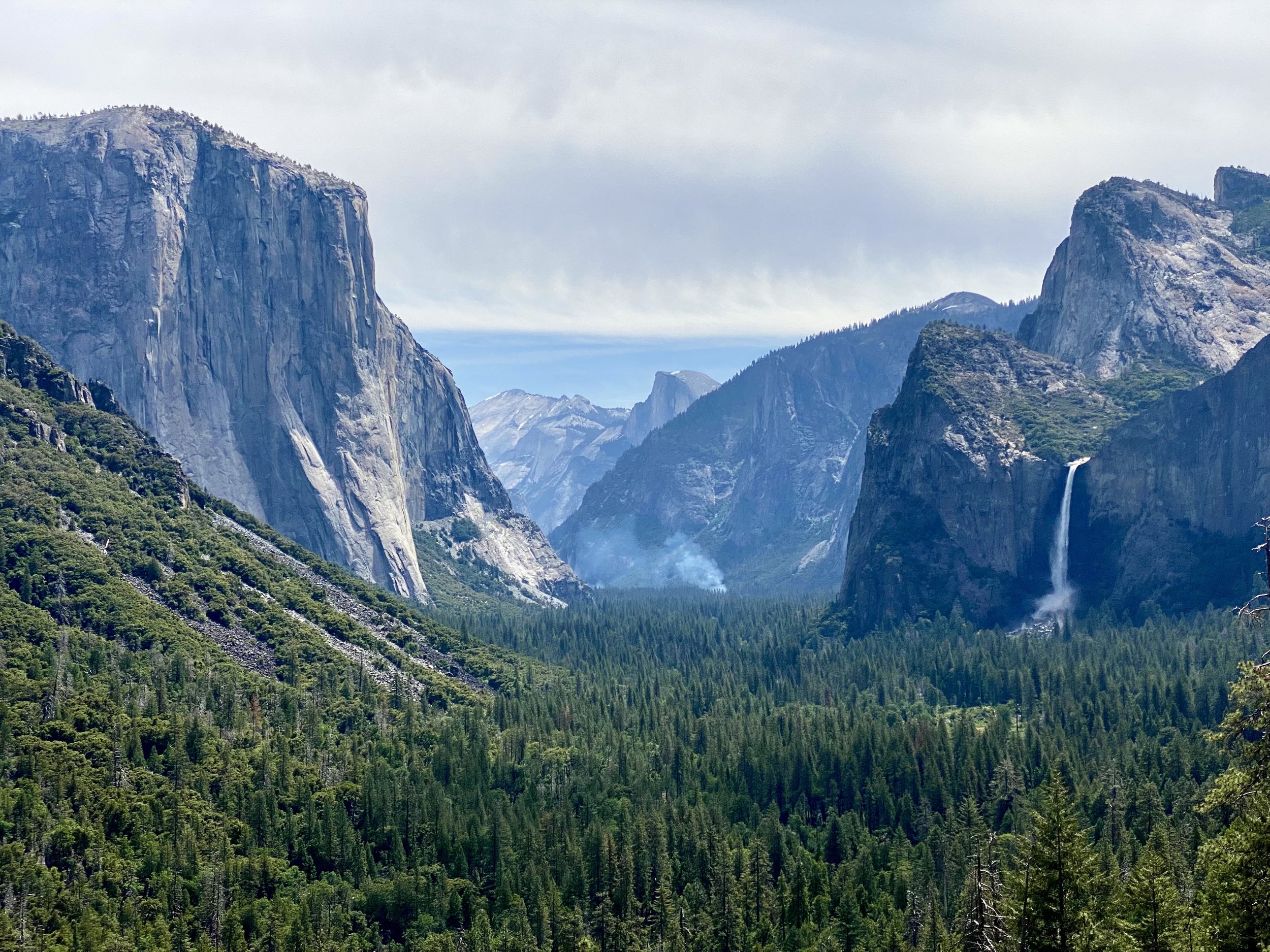 Yosemite National Park Souvenir Shot Glass - California Collection Series