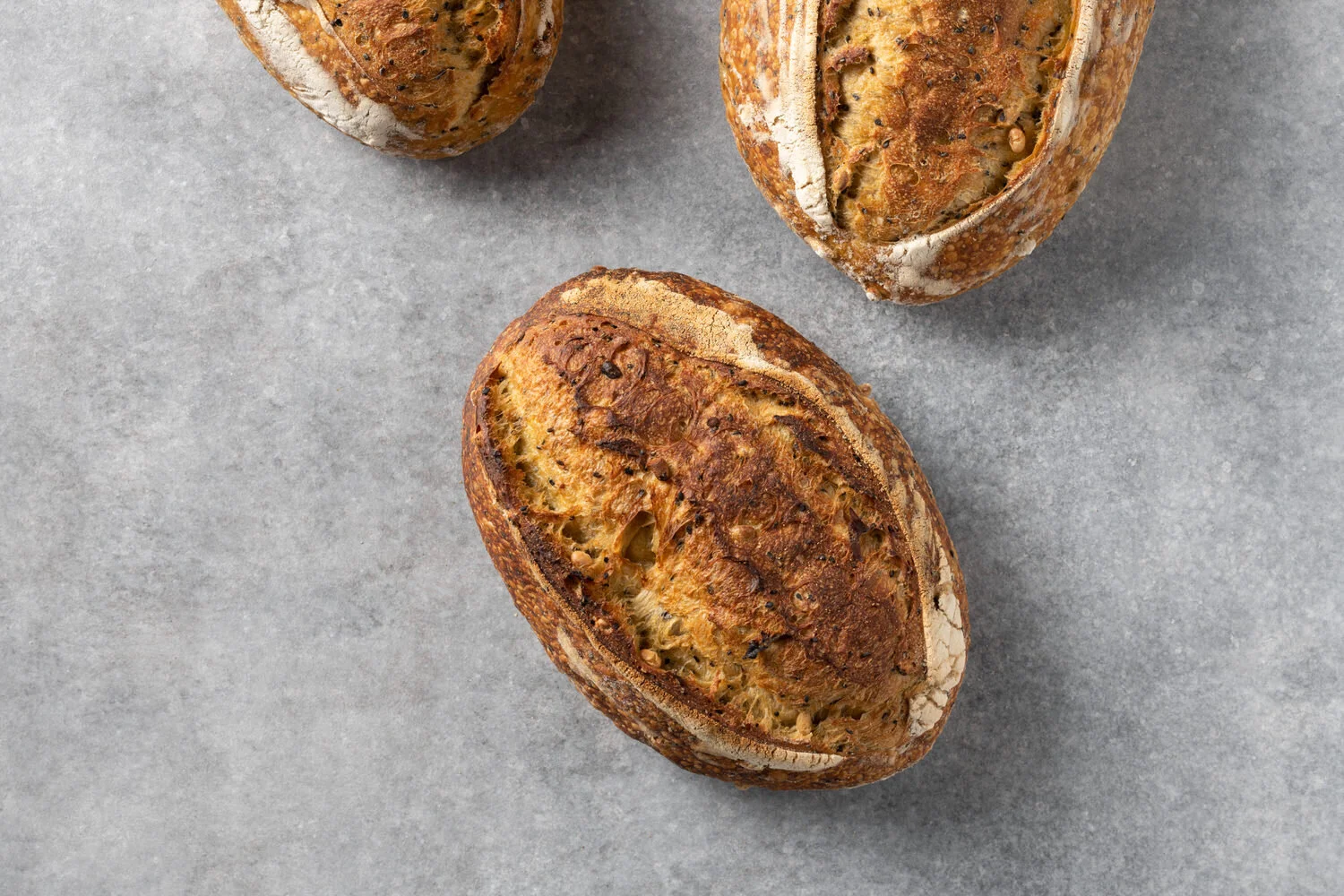 Artisan Breads - Pumpkin + Soybean.jpg