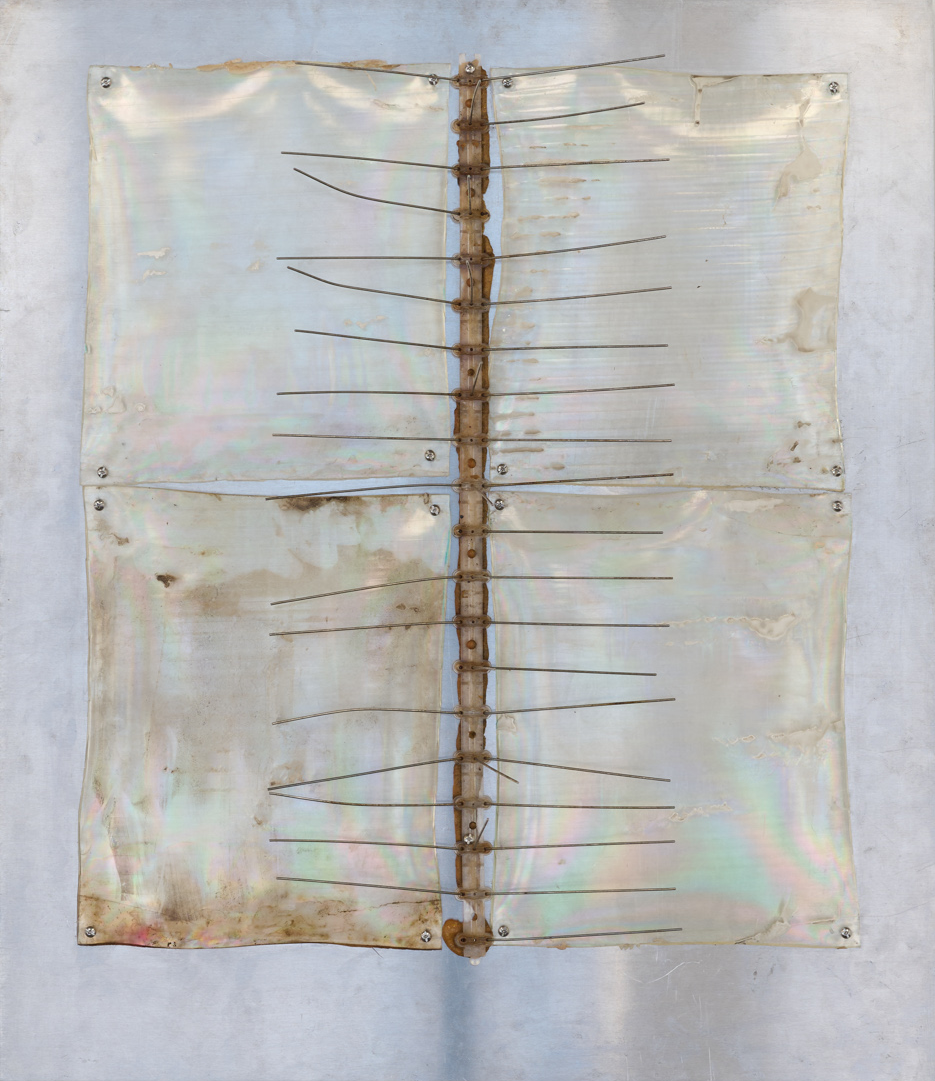 Twentysix Gallery, Making Do, Phoebe Laird, Detterents, 1 crop.png