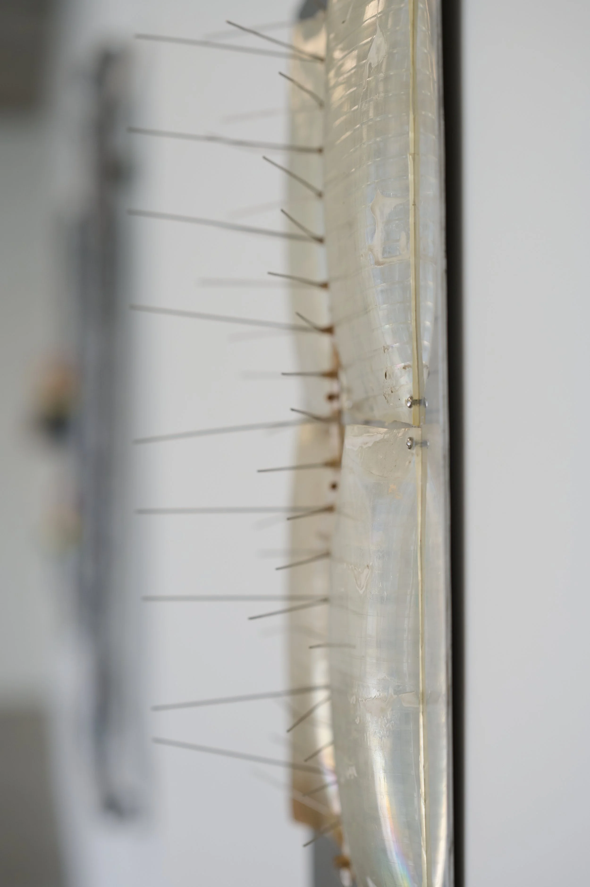 Twentysix Gallery, Making Do, Phoebe Laird, Detterents, 6.jpg