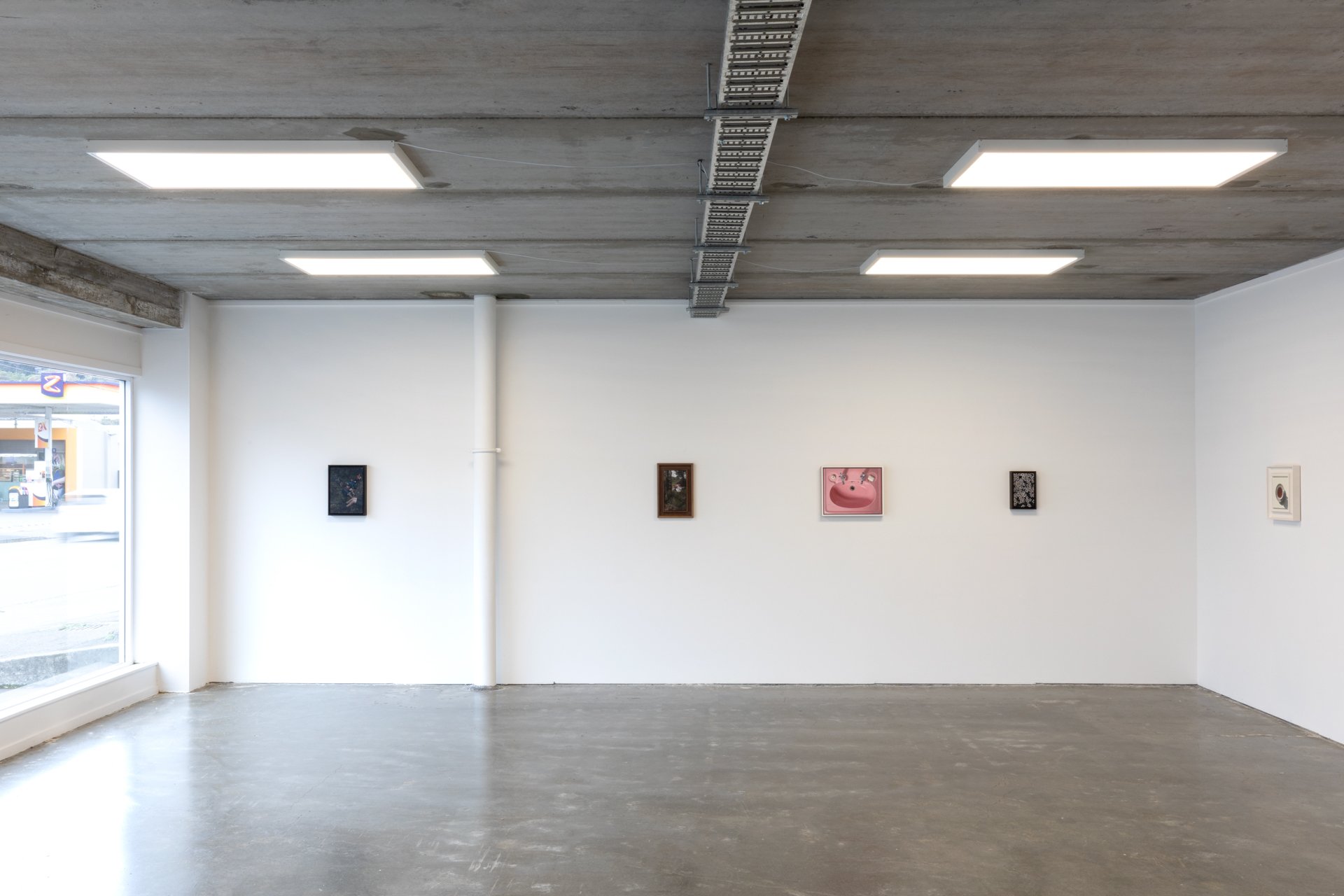 Twentysix Gallery, Nurture, Install View, Alice Toomer and Benjamin Cotter 1.jpg