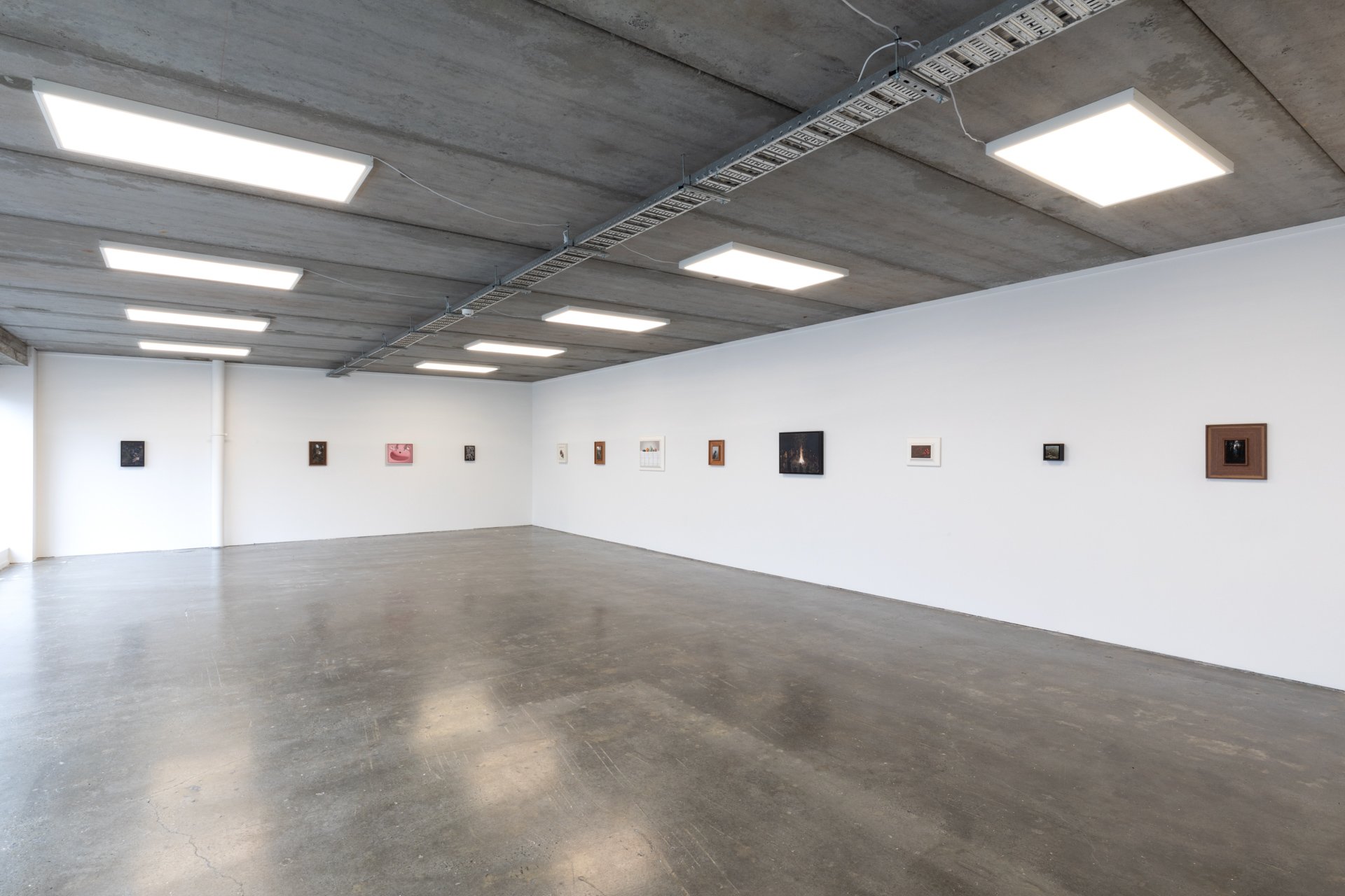Twentysix Gallery, Nurture, Install View, Alice Toomer and Benjamin Cotter 4.jpg