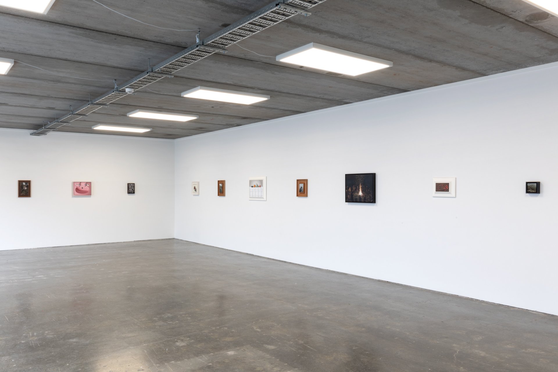 Twentysix Gallery, Nurture, Install View, Alice Toomer and Benjamin Cotter 5.jpg