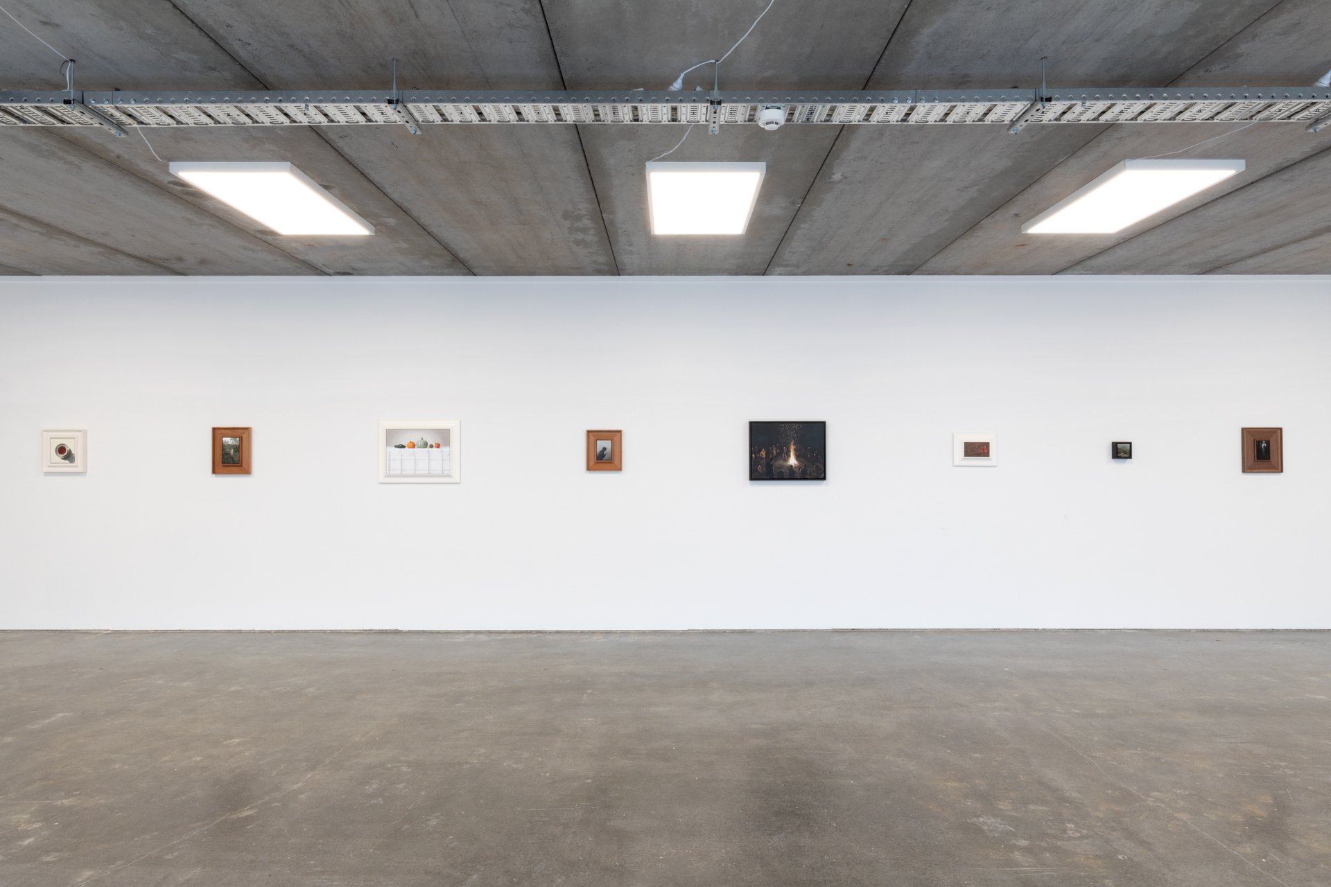 Twentysix Gallery, Nurture, Install View, Alice Toomer and Benjamin Cotter 6.jpg