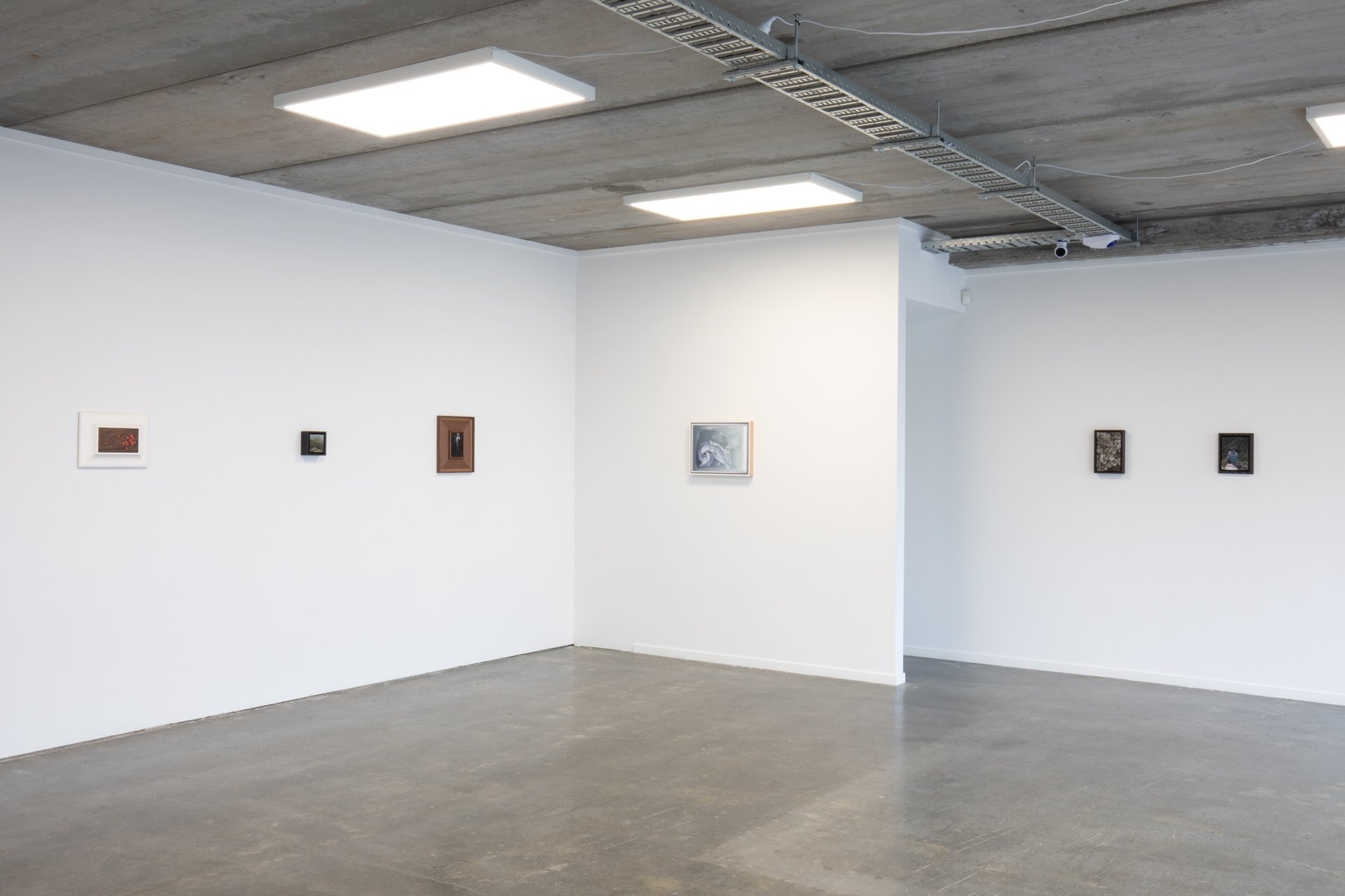 Twentysix Gallery, Nurture, Install View, Alice Toomer and Benjamin Cotter 8.jpg