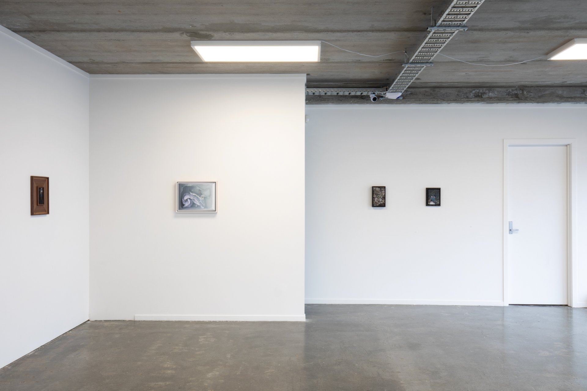 Twentysix Gallery, Nurture, Install View, Alice Toomer and Benjamin Cotter 10.jpg