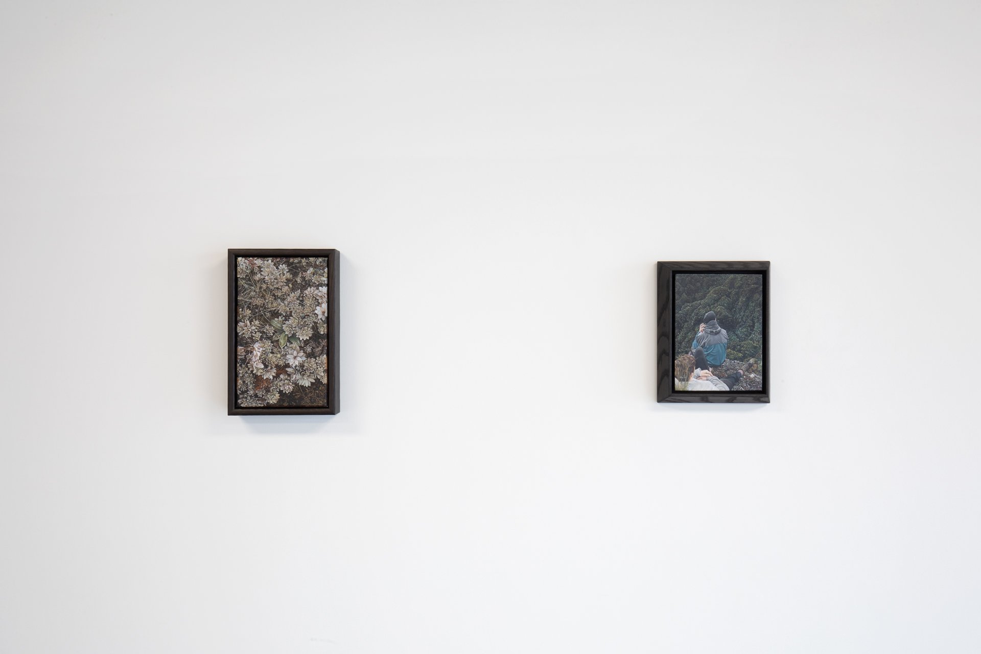 Twentysix Gallery, Nurture, Install View, Alice Toomer and Benjamin Cotter 11.jpg