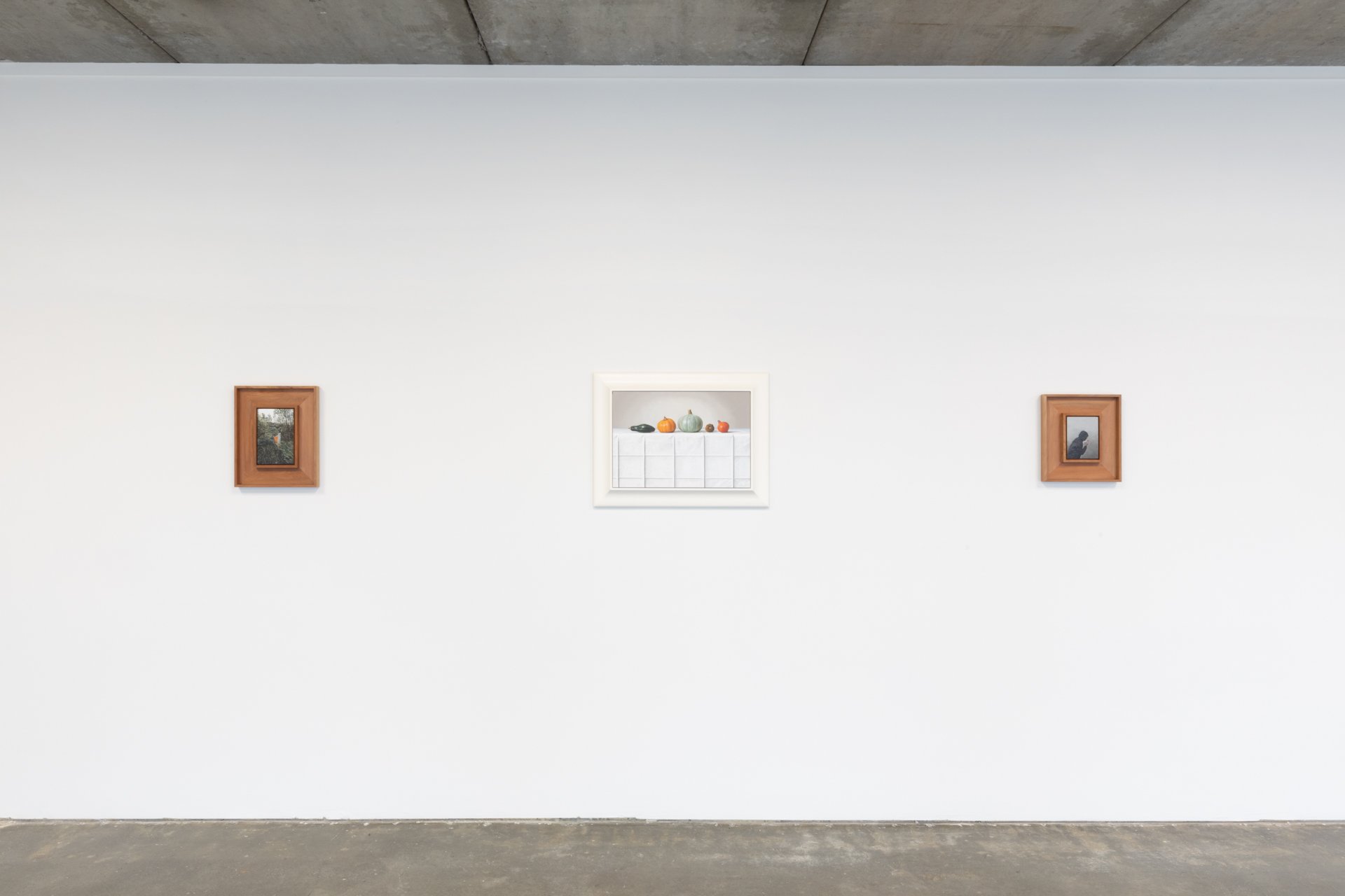 Twentysix Gallery, Nurture, Install View, Alice Toomer and Benjamin Cotter 14.jpg