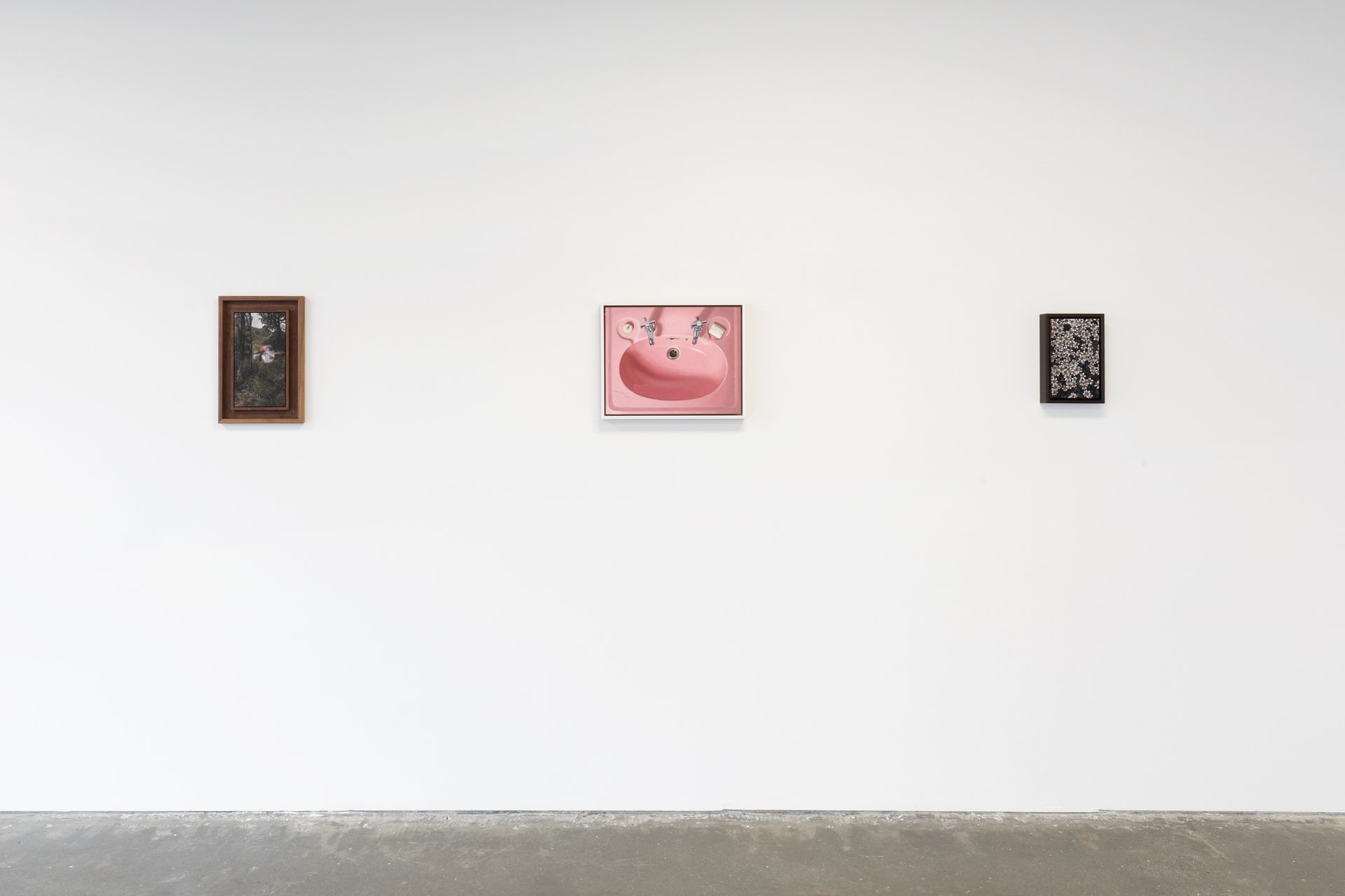 Twentysix Gallery, Nurture, Install View, Alice Toomer and Benjamin Cotter 17.jpg