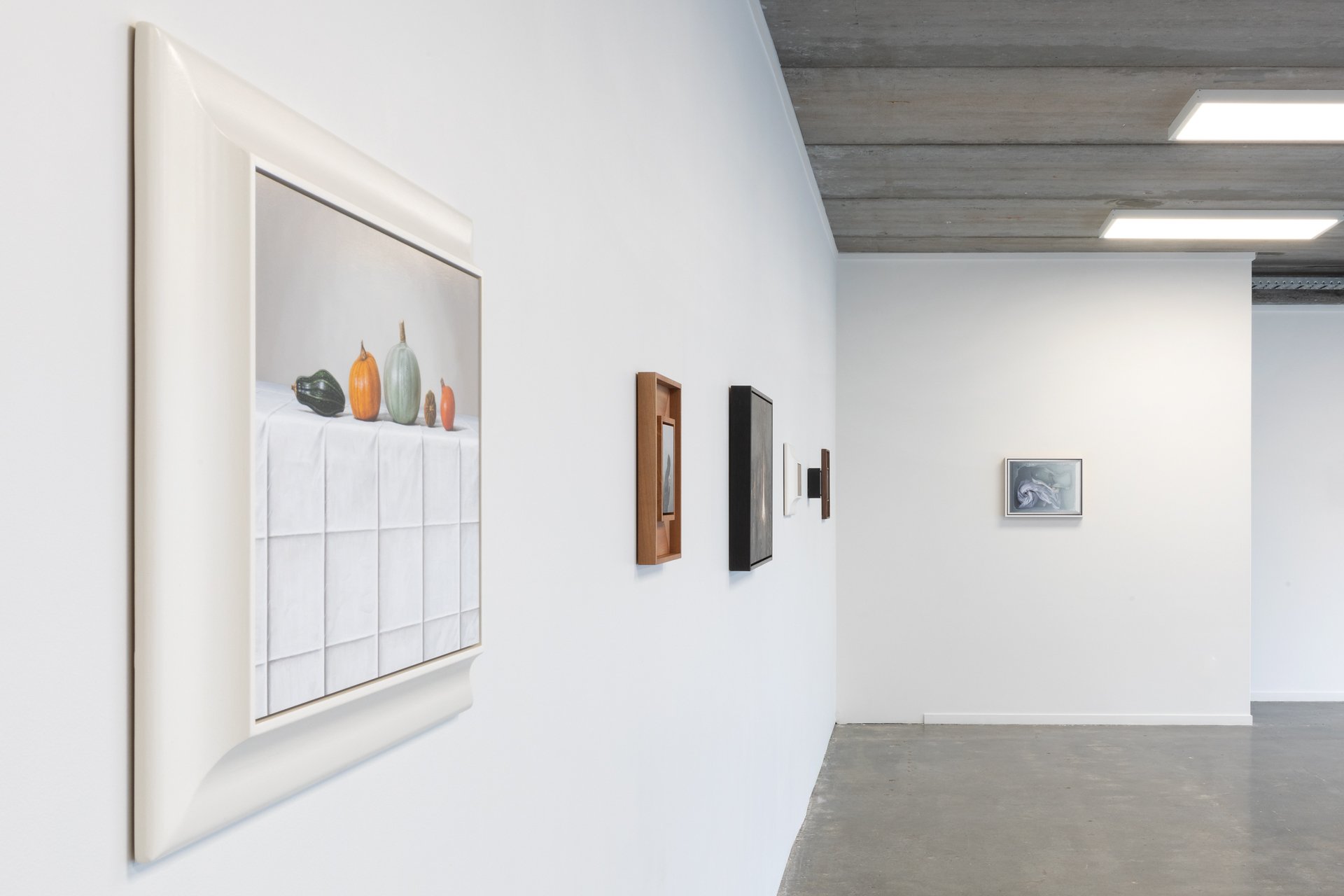 Twentysix Gallery, Nurture, Install View, Alice Toomer and Benjamin Cotter 21.jpg