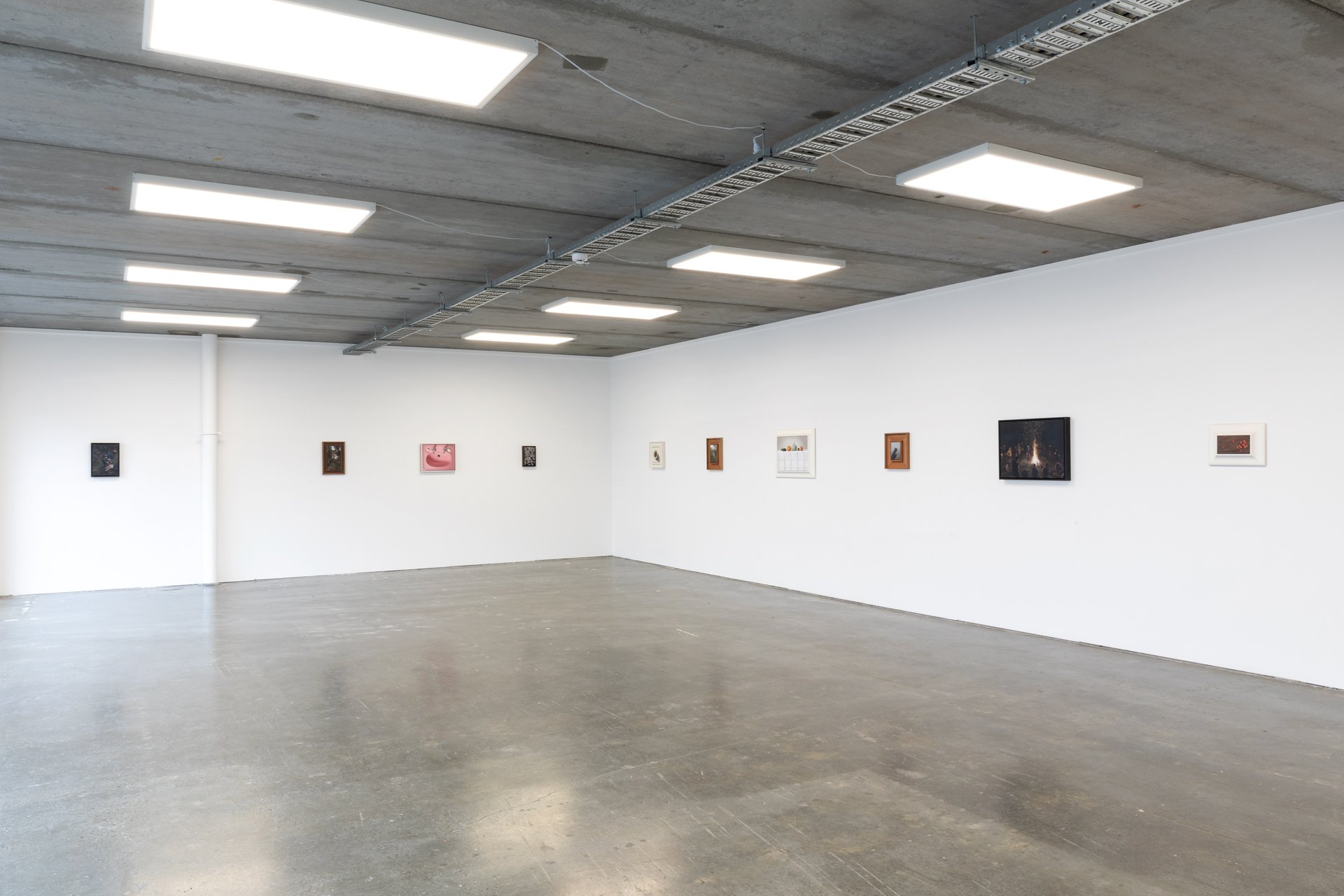 Twentysix Gallery, Nurture, Install View, Alice Toomer and Benjamin Cotter 23.jpg
