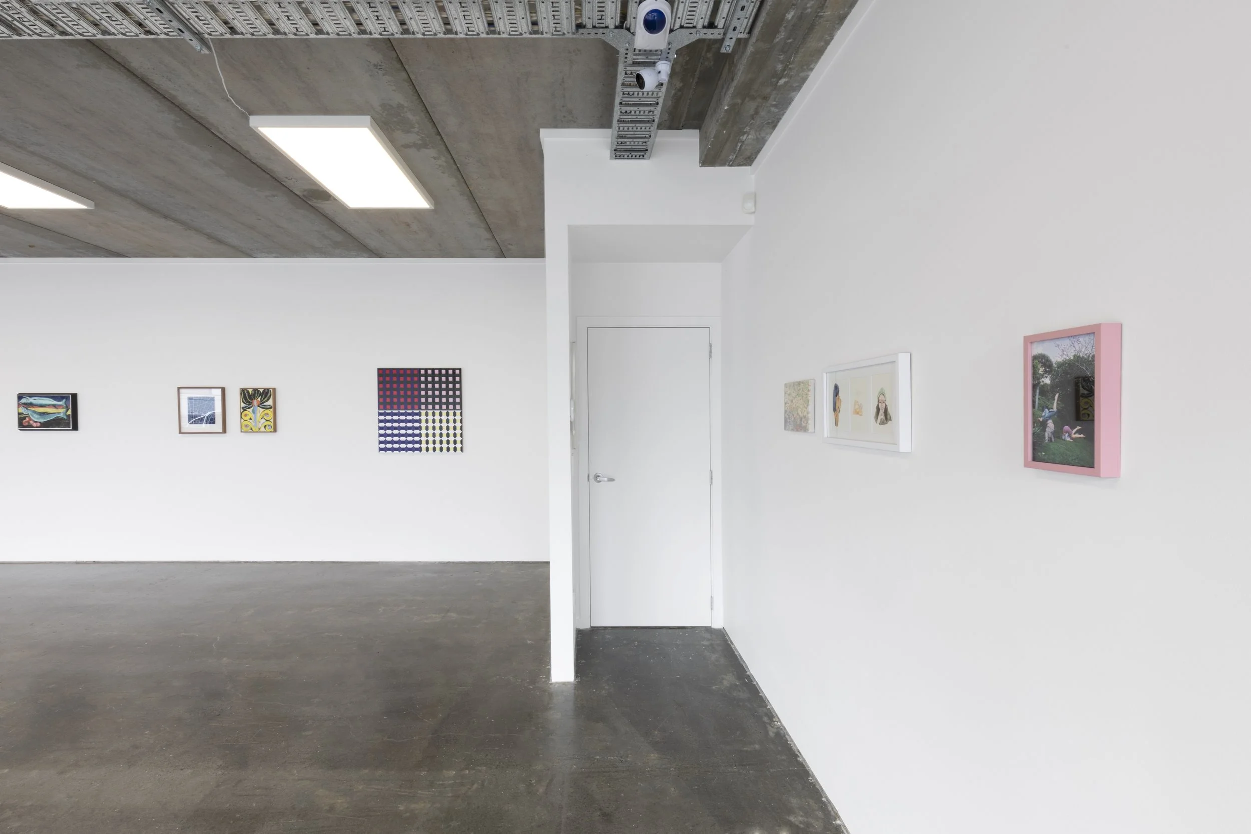 Twentysix Gallery, Seedlings, Install View 7.jpeg