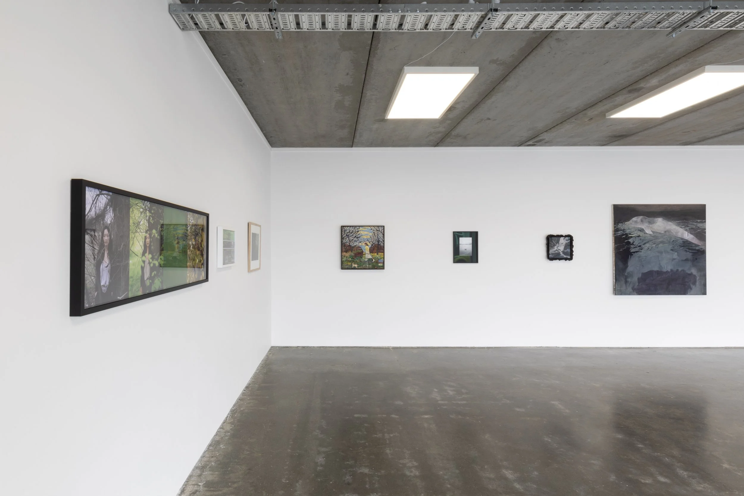 Twentysix Gallery, Seedlings, Install View 6.jpeg