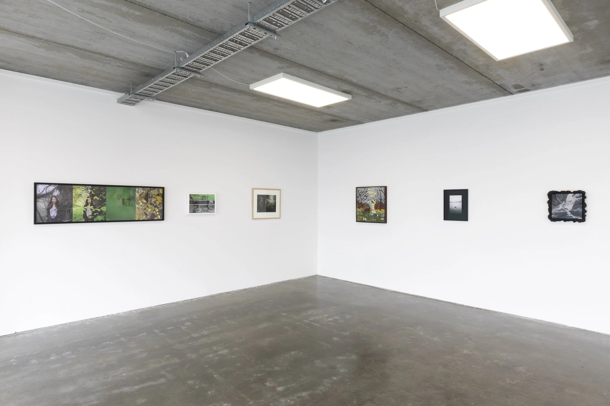 Twentysix Gallery, Seedlings, Install View 15.jpeg