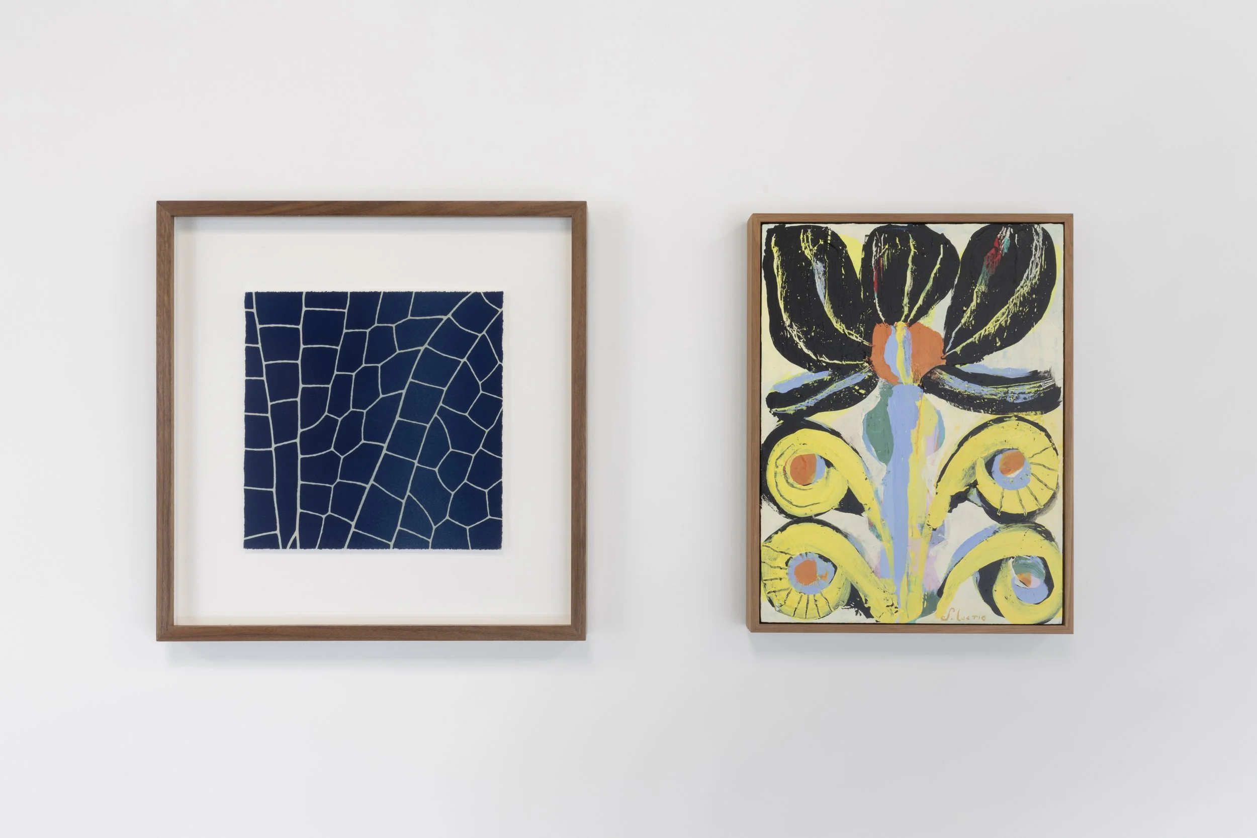 Twentysix Gallery, Seedlings, Install View 24.jpeg