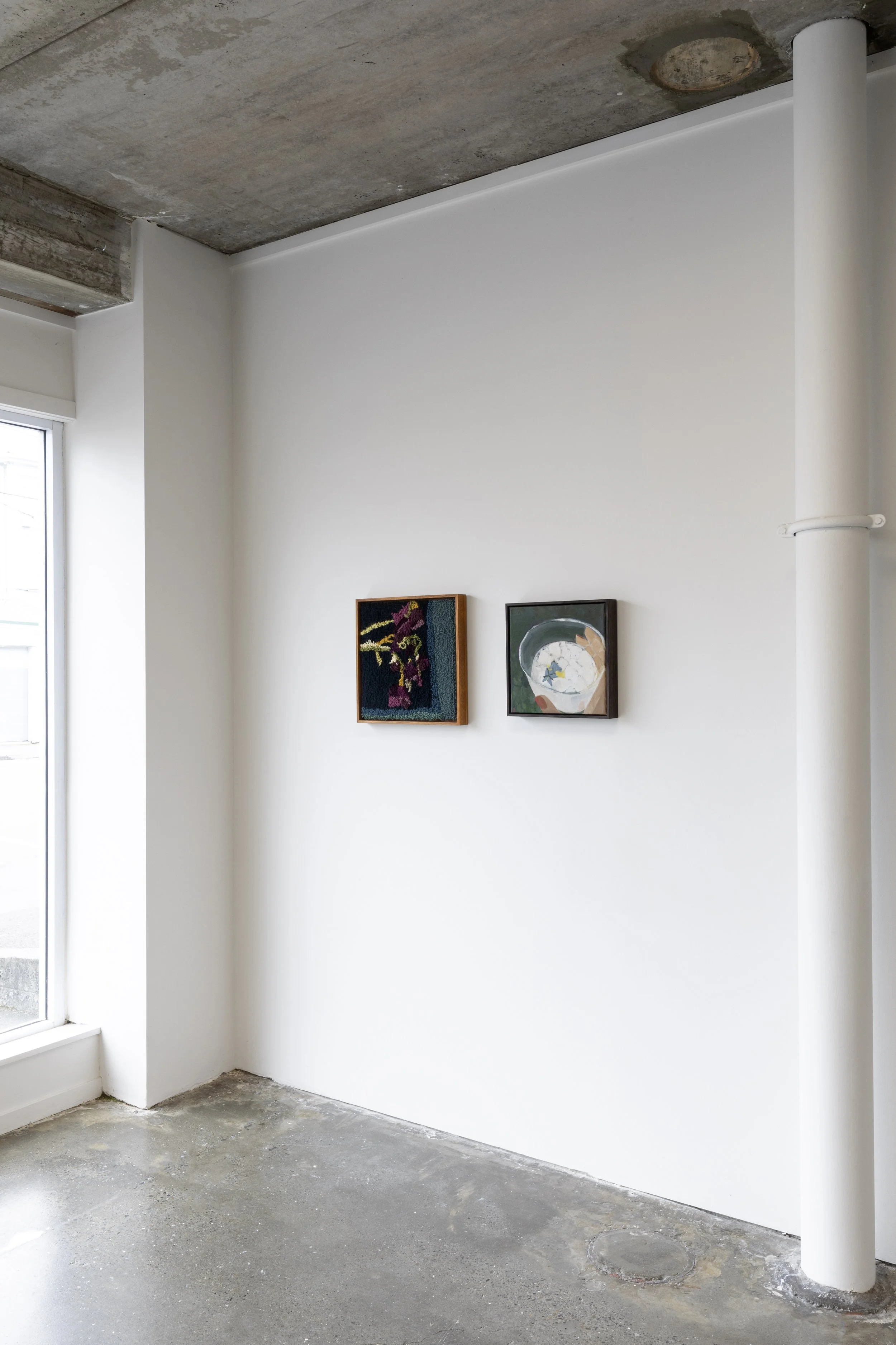 Twentysix Gallery, Seedlings, Install View 27.jpeg