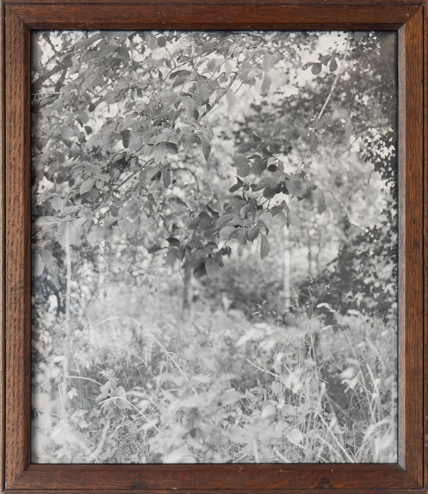 there is nothing more beautiful than the face of someone you love in the light of a small flame (light scene), 2025