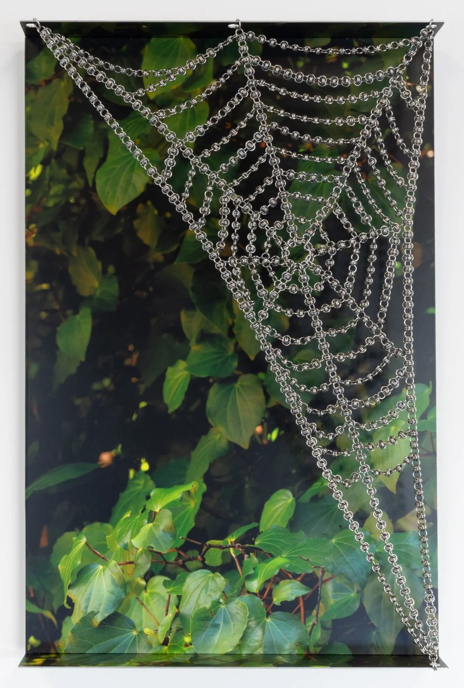 Death as transmutation, 2026