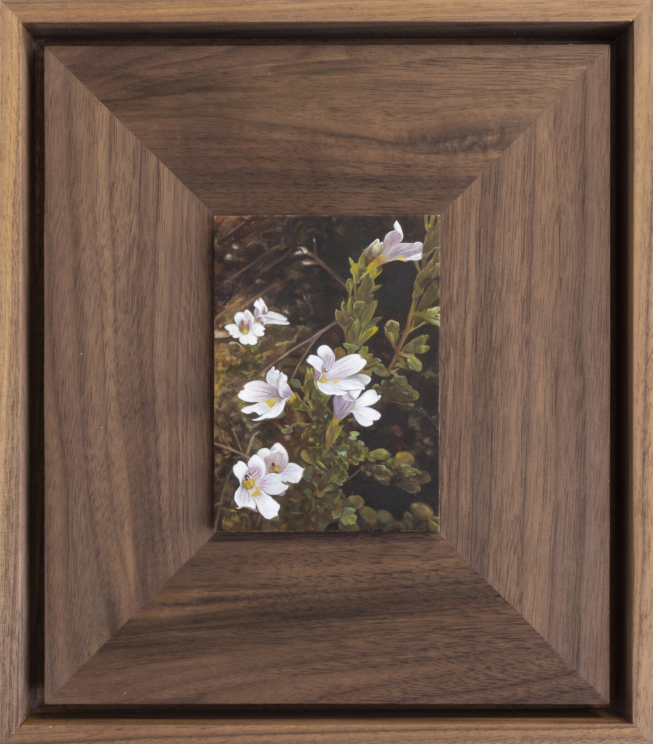 Twentysix Gallery, A Place to Sit, Benjamin Cotter Dephoff, Hebejeebie, 1.jpeg