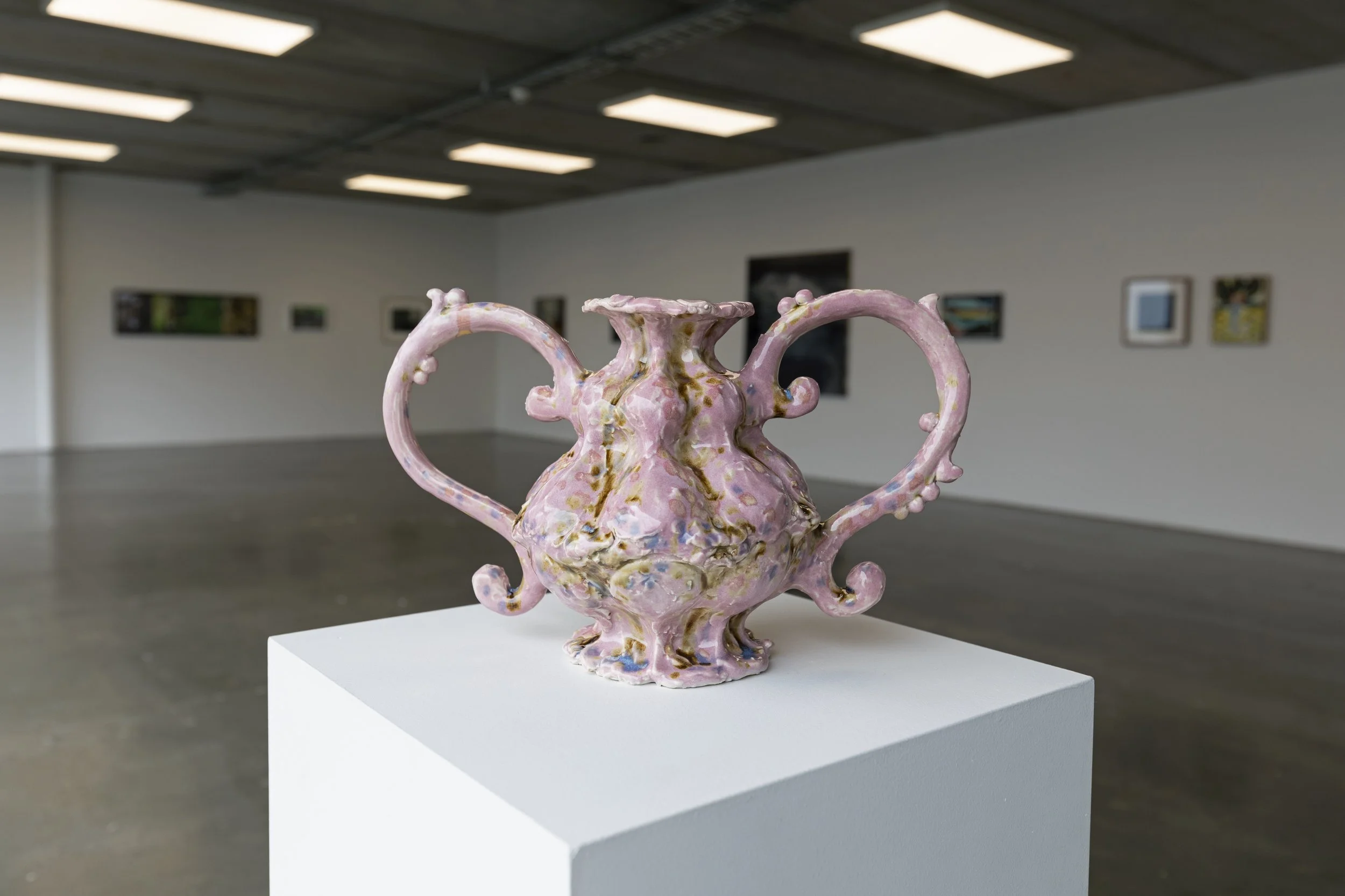 Twentysix Gallery, Seedlings, Lindsey Horne, Ragogo go 3.jpeg
