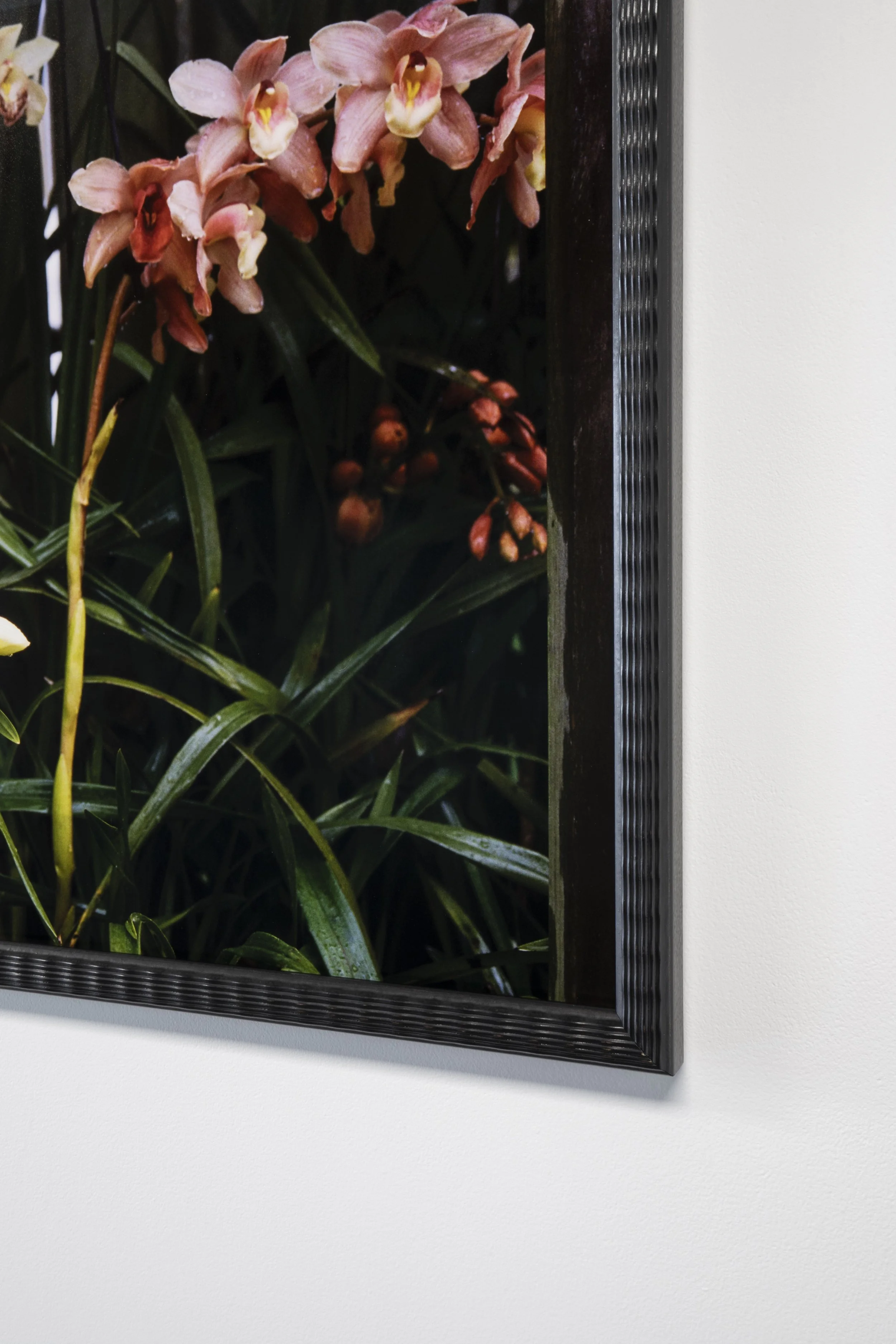 Twentysix Gallery, Kababayan, Abigail Legg, Editha's Orchids 4.jpeg