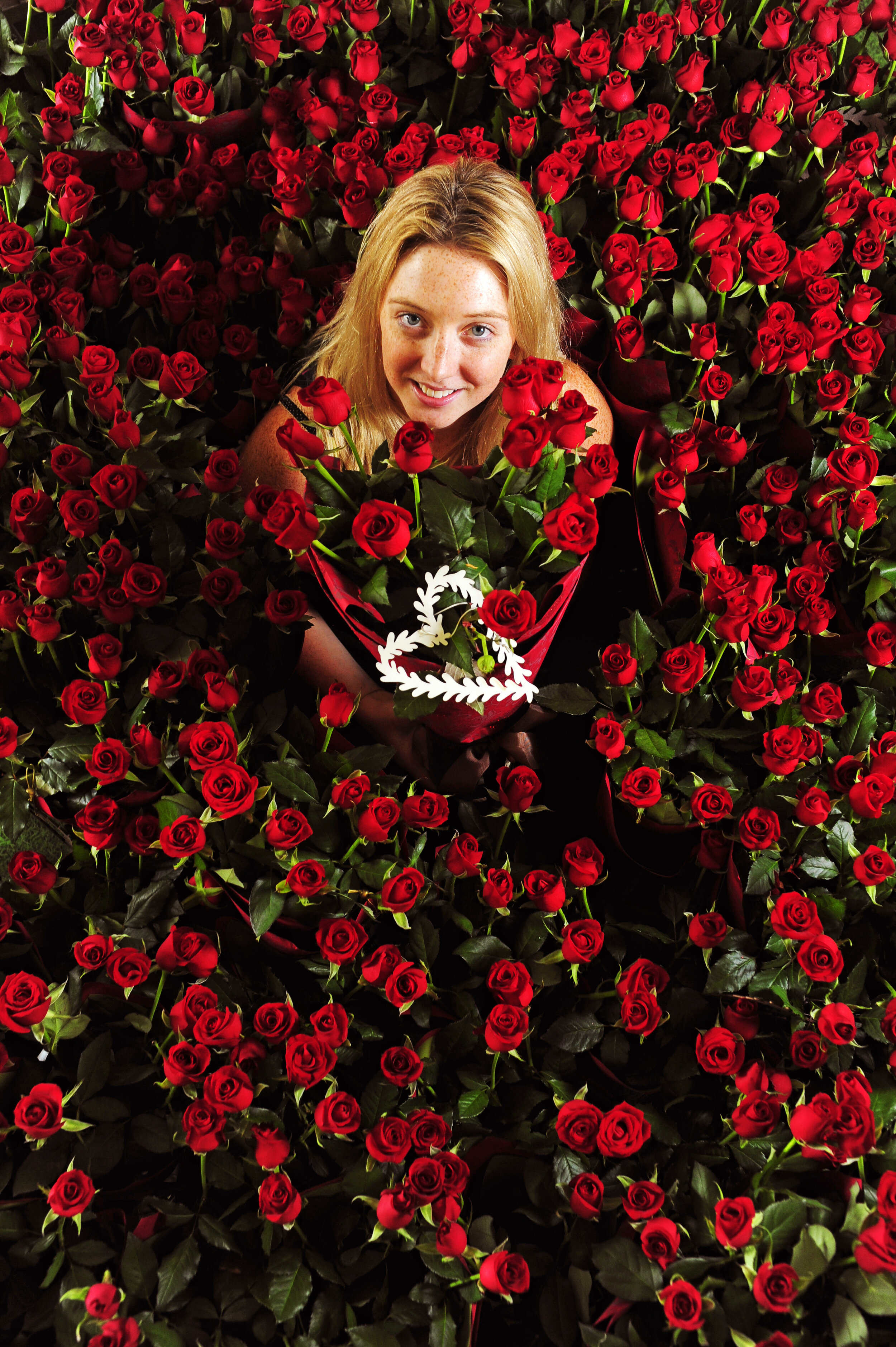 100 RED ROSES-473700.jpg