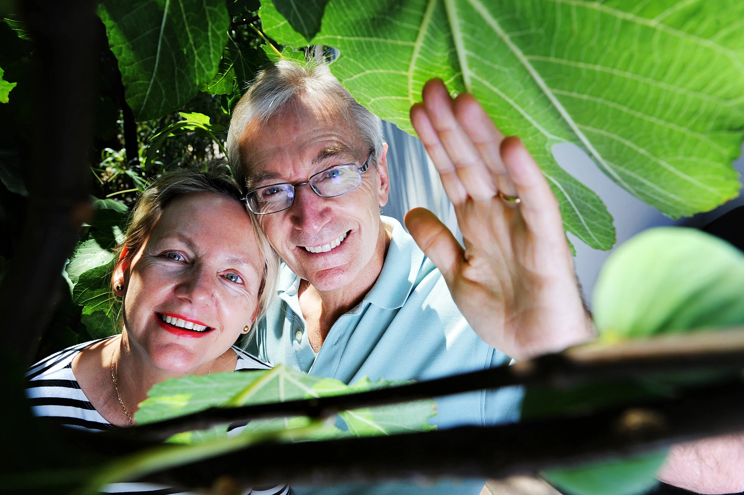 VEGETARIAN LIFESTYLE-432200.jpg