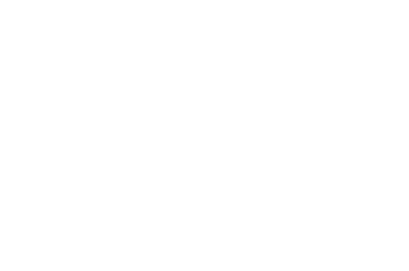 WINNER - DIRECTORS CUT INTL FILM FESTIVAL - 2023.png