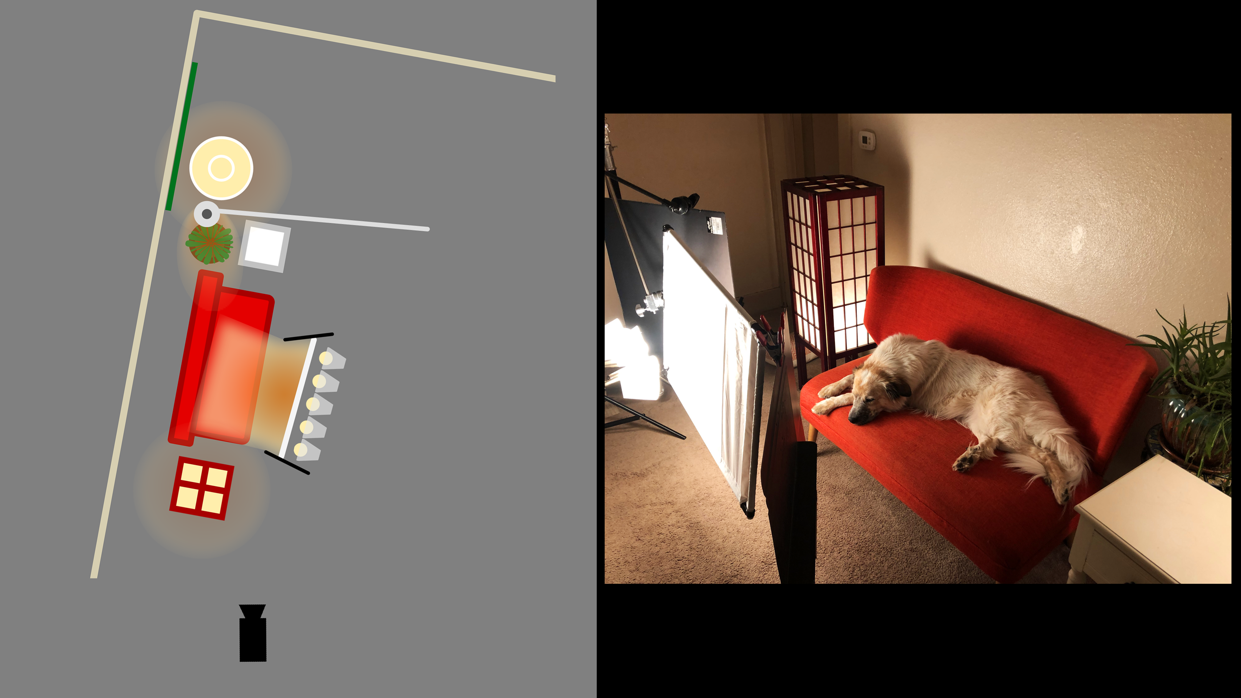 The Setup