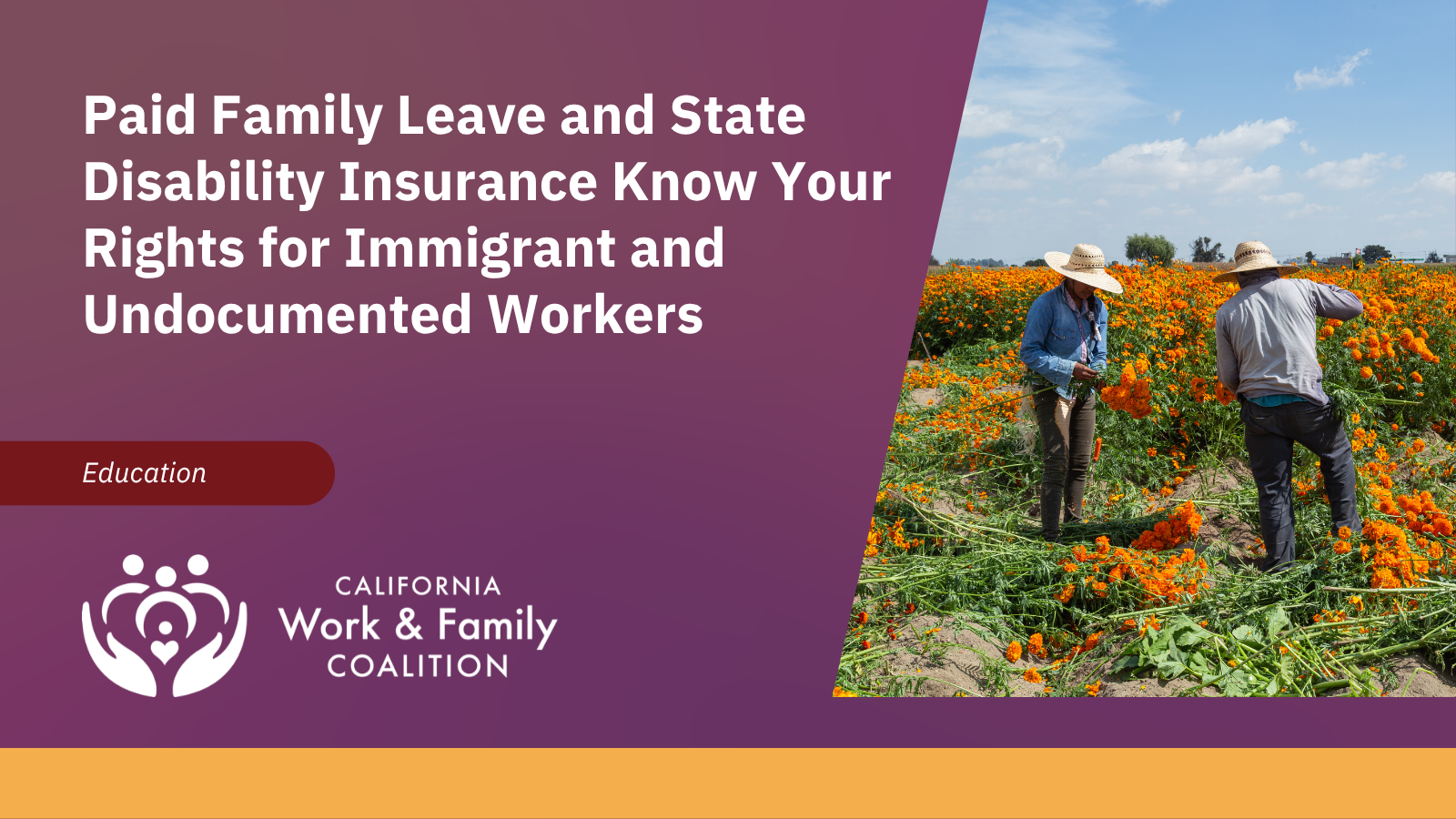 Paid Family Leave and State Disability Insurance Know Your Rights for Immigrant and Undocumented Workers