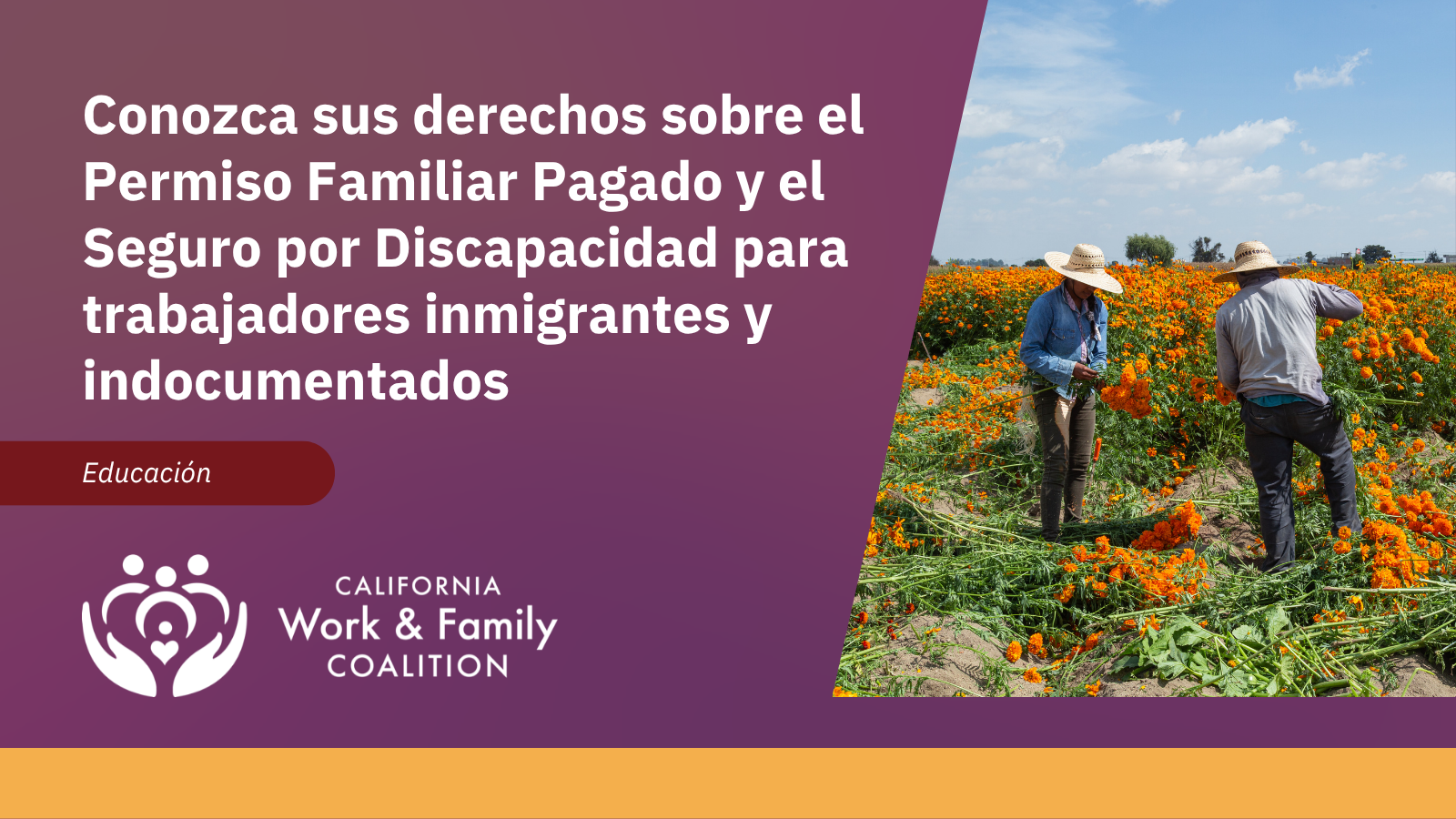 Conozca sus derechos sobre el Permiso Familiar Pagado y el Seguro por Discapacidad para trabajadores inmigrantes y indocumentados