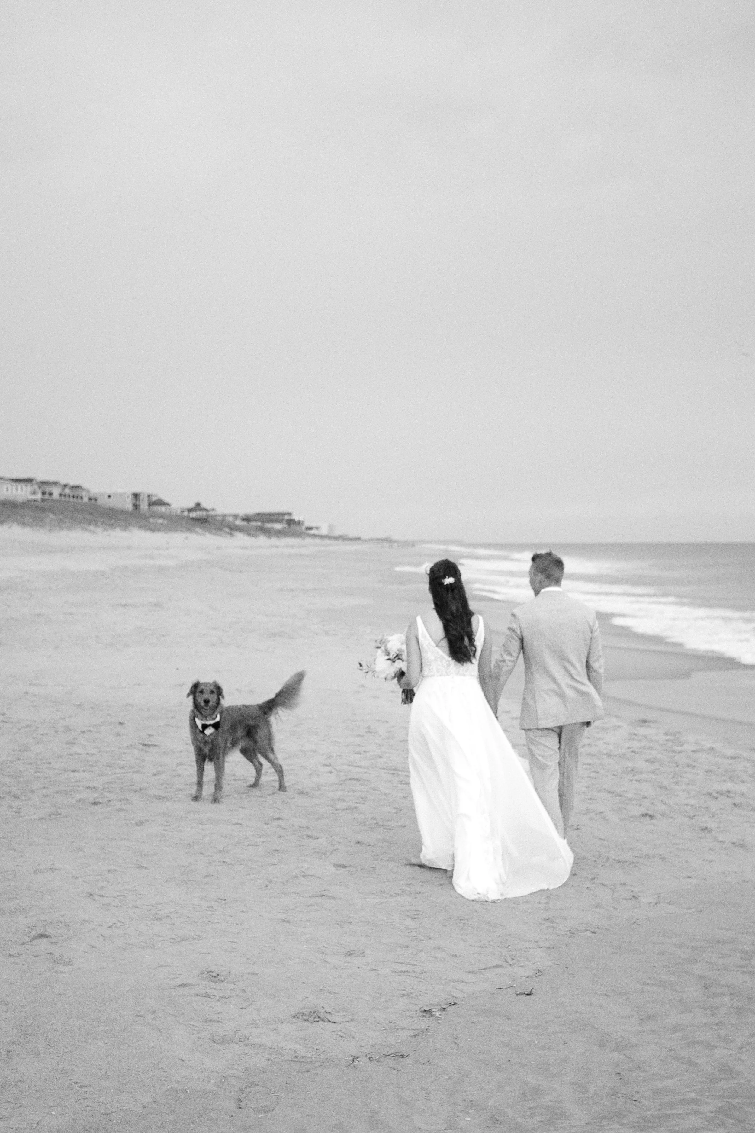 A bride and groom walking on a beach, holding hands, with a dog nearby. The bride is in a white wedding dress, and the groom in a light-colored suit. The dog is wearing a bow tie and appears to be a golden retriever. The scene is black and white.