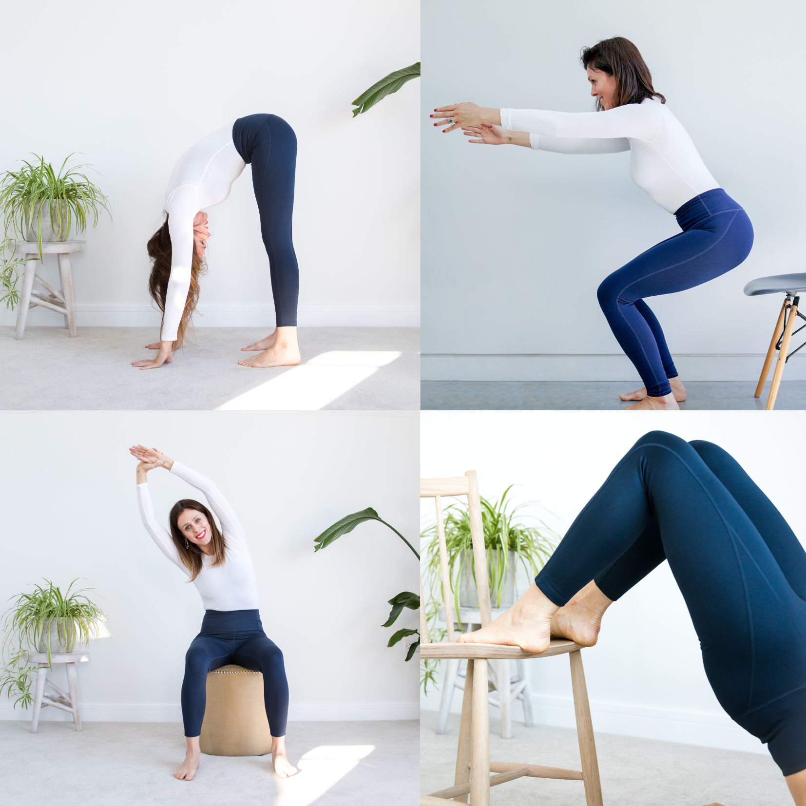 New Corporate MAYD Members