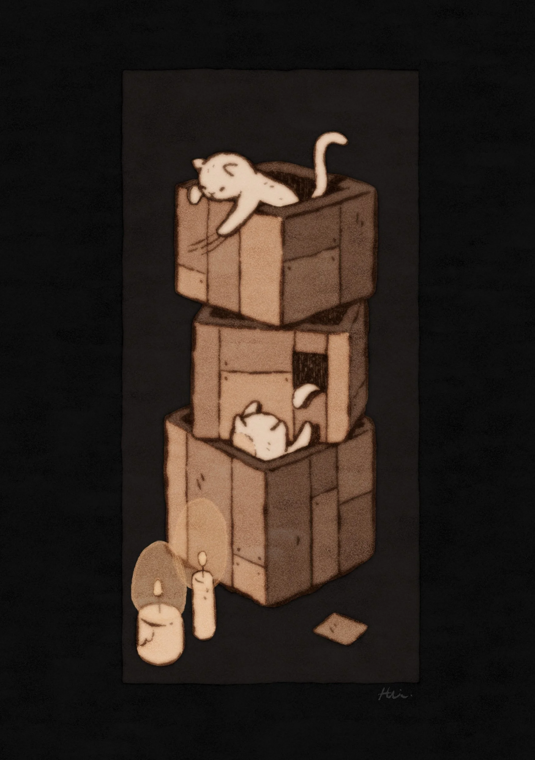 catsinboxes.jpg